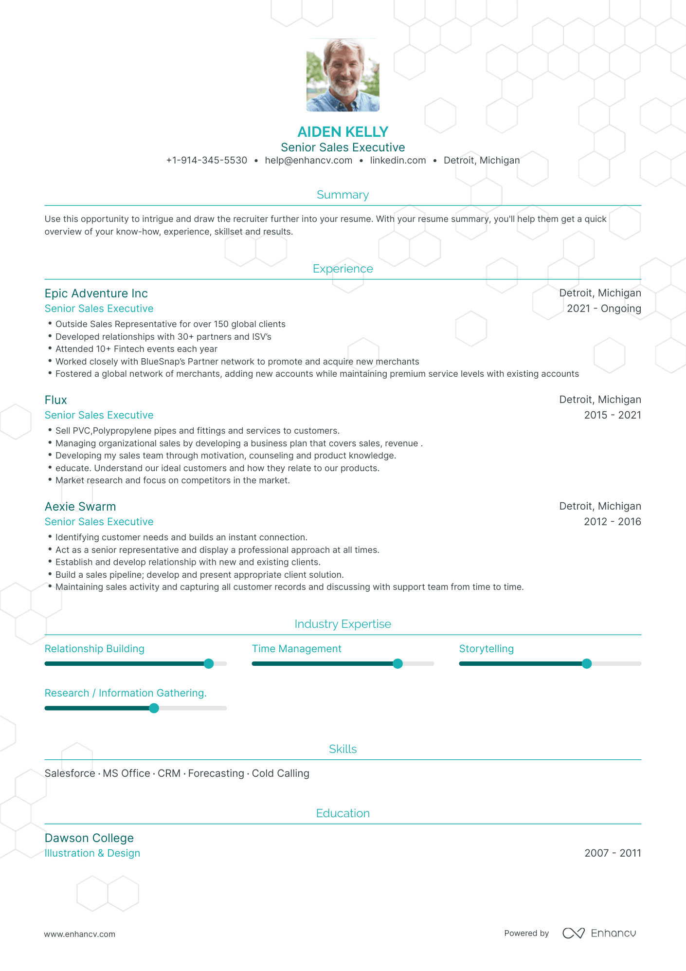 Senior Sales Executive Resume Examples Guide For Layout Skills