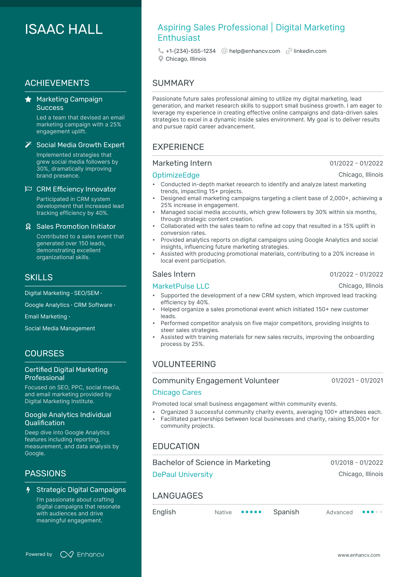 Entry Level Digital Marketing Resume Examples Guide For