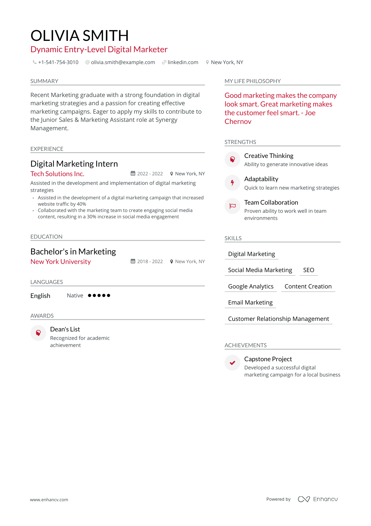 Entry Level Digital Marketing Resume Examples Guide For