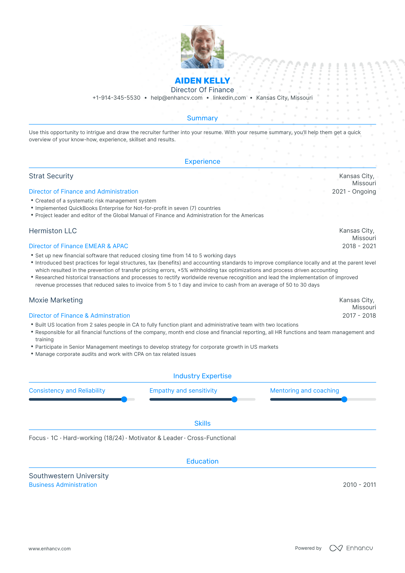 Director Of Finance Resume Examples Guide For