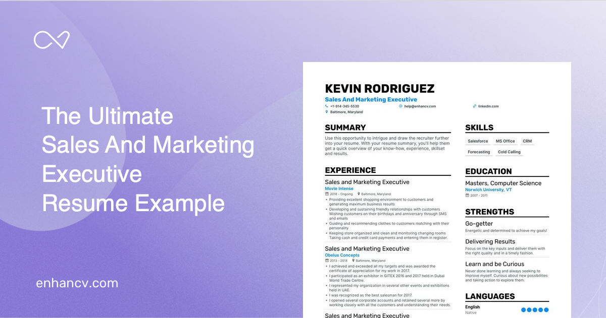 Sales And Marketing Executive Resume Examples Guide For