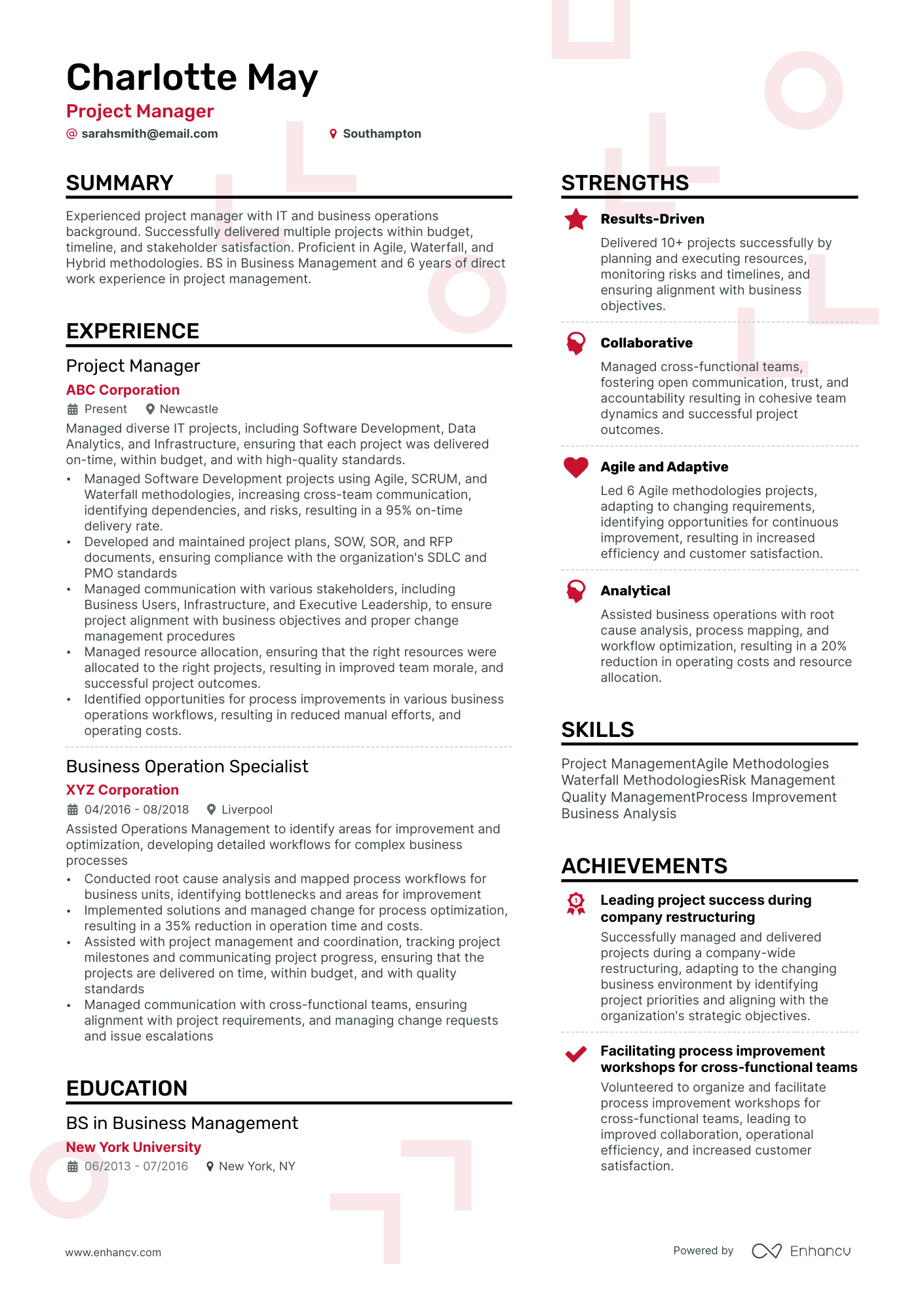 It Project Manager Cv Examples For