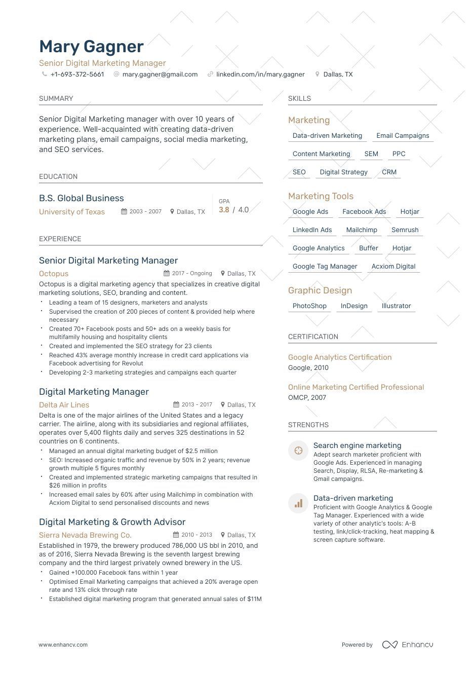 Digital Marketing Resume Examples & Guide for 2023 (Layout, Skills ...