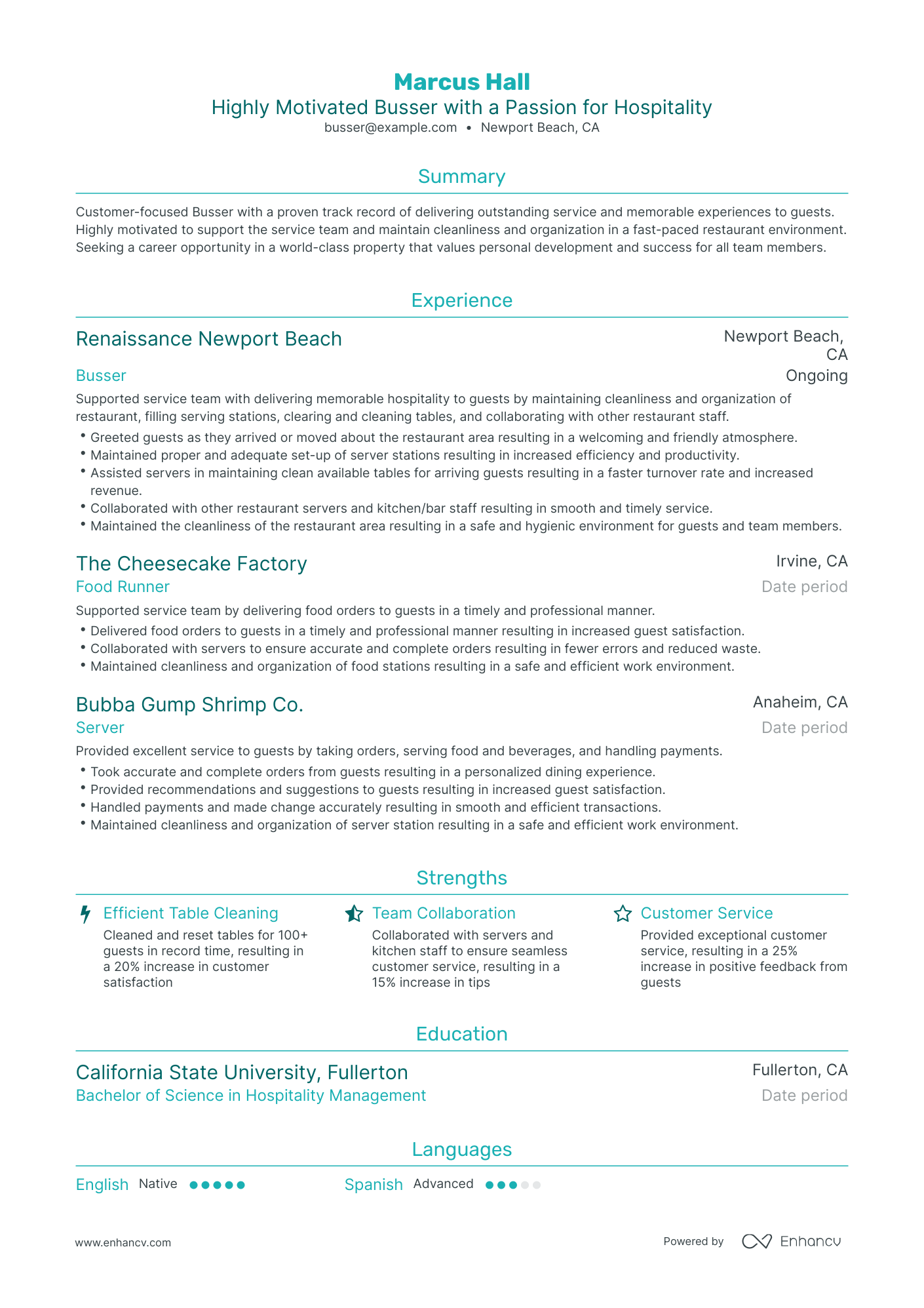 professional summary for resume busser