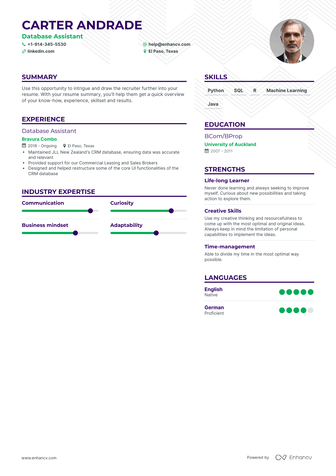 Database Assistant Resume Examples & Guide for 2023 (Layout, Skills ...