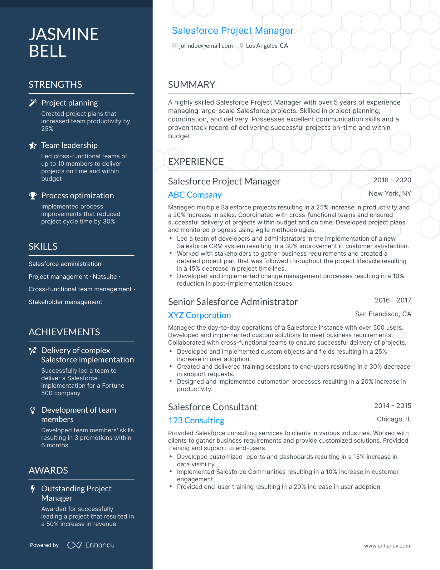 salesforce project manager sample resume