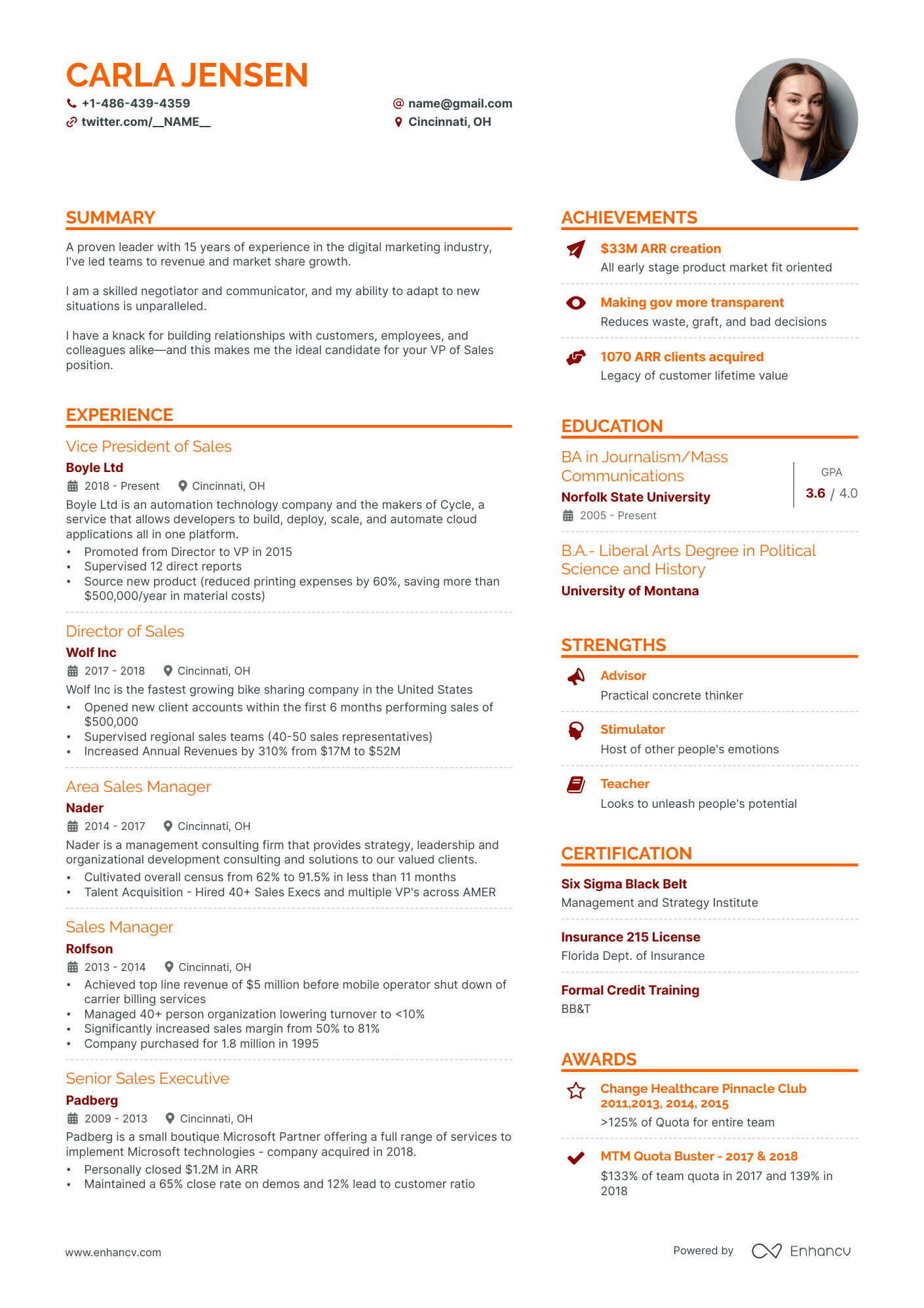 5 VP of Sales Resume Examples & Guide for 2024