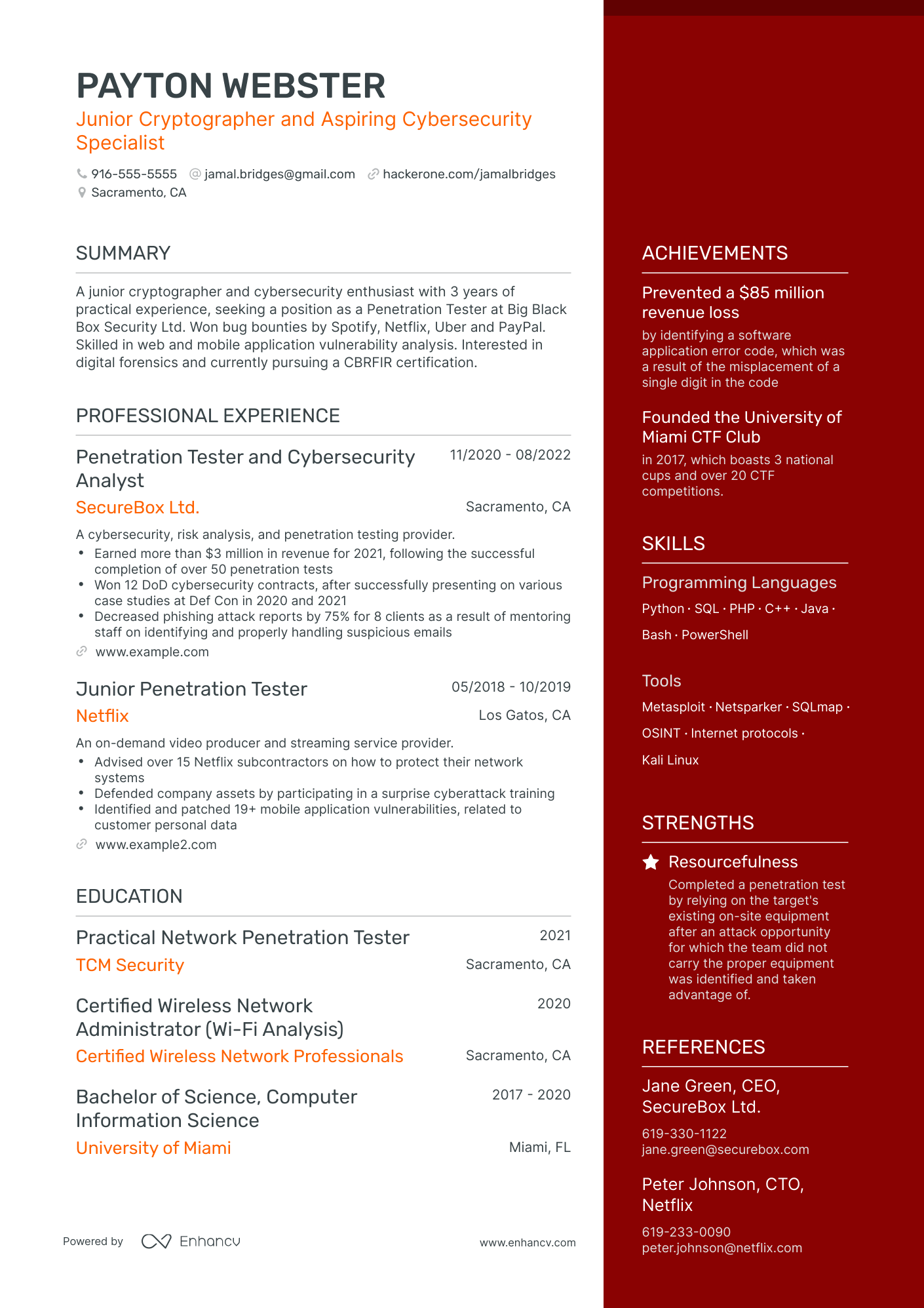 5 Tester Resume Examples & Guide for 2024