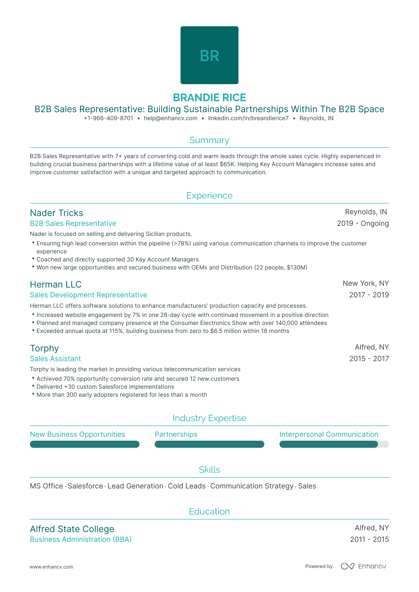 b2b marketing resume examples