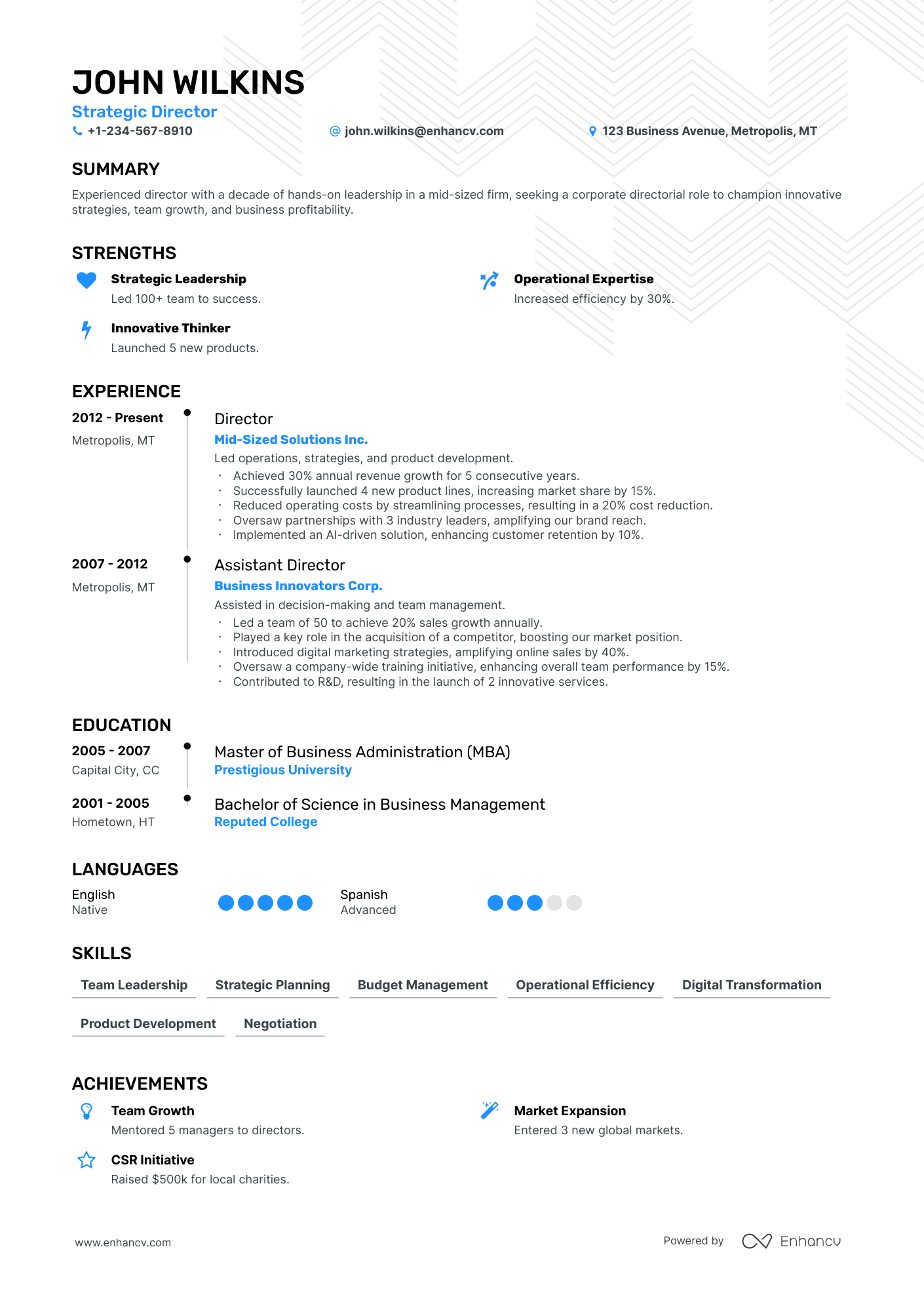 Strategic Director resume example