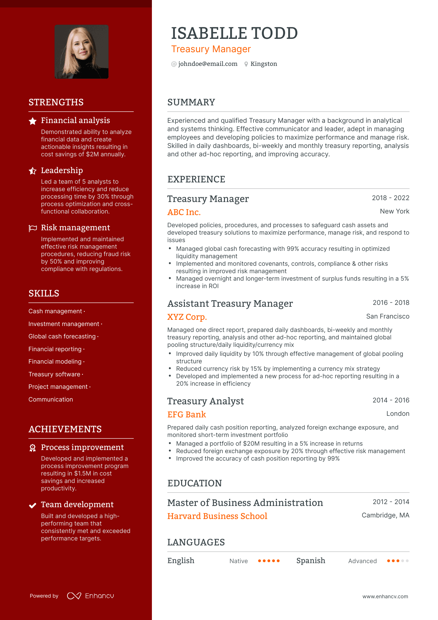 sample resume treasury manager