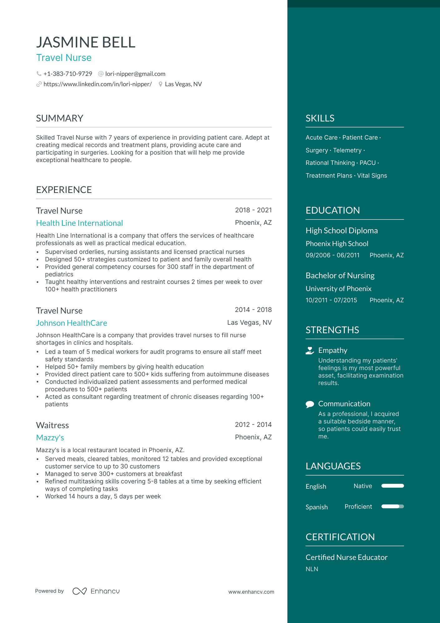 Travel Nurse resume example