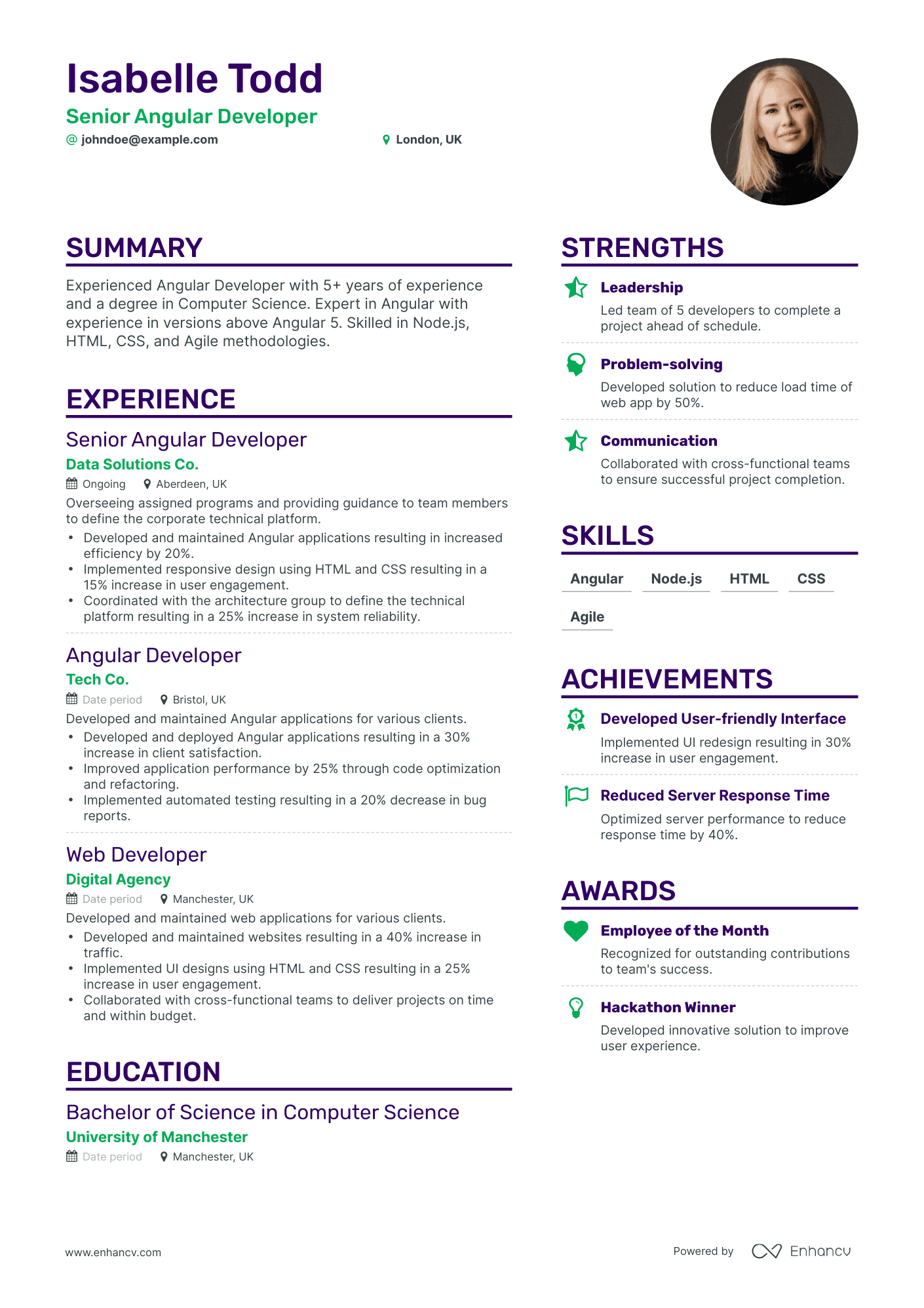 professional summary in resume for angular developer