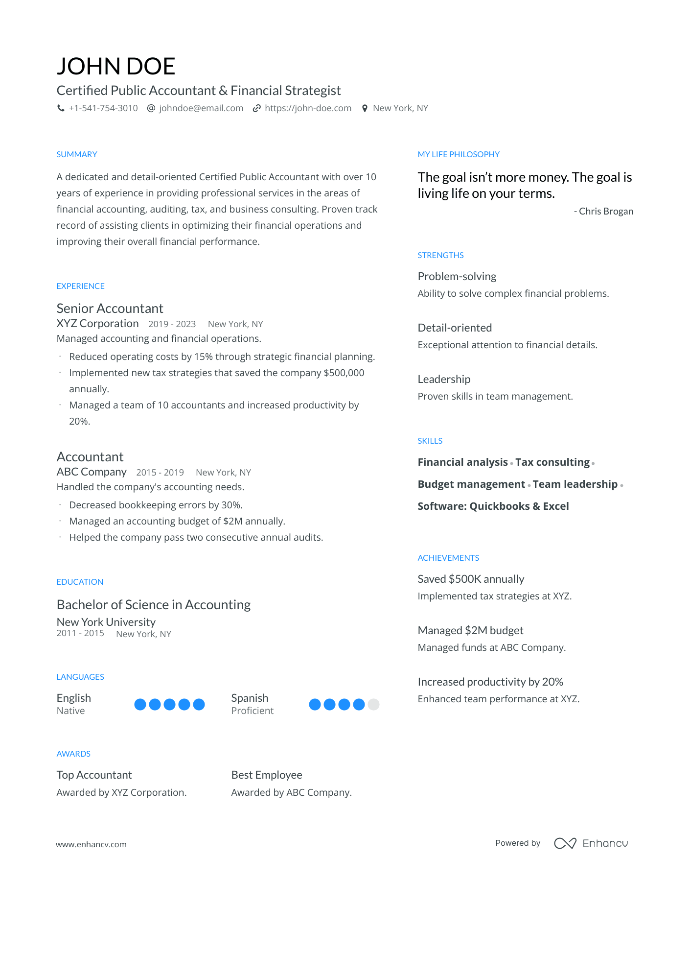 Certified Public Accountant & Financial Strategist resume example