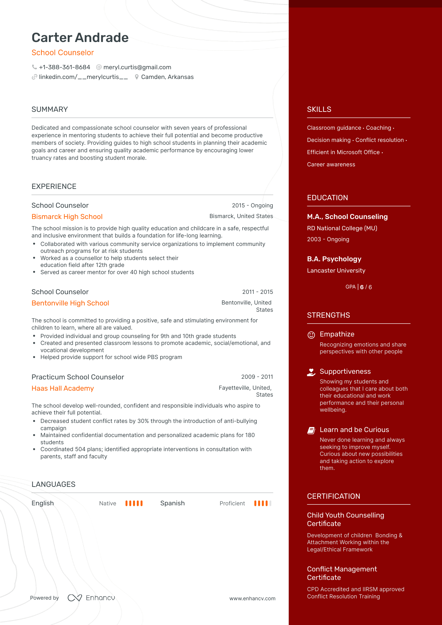 resume format for education counsellor in india