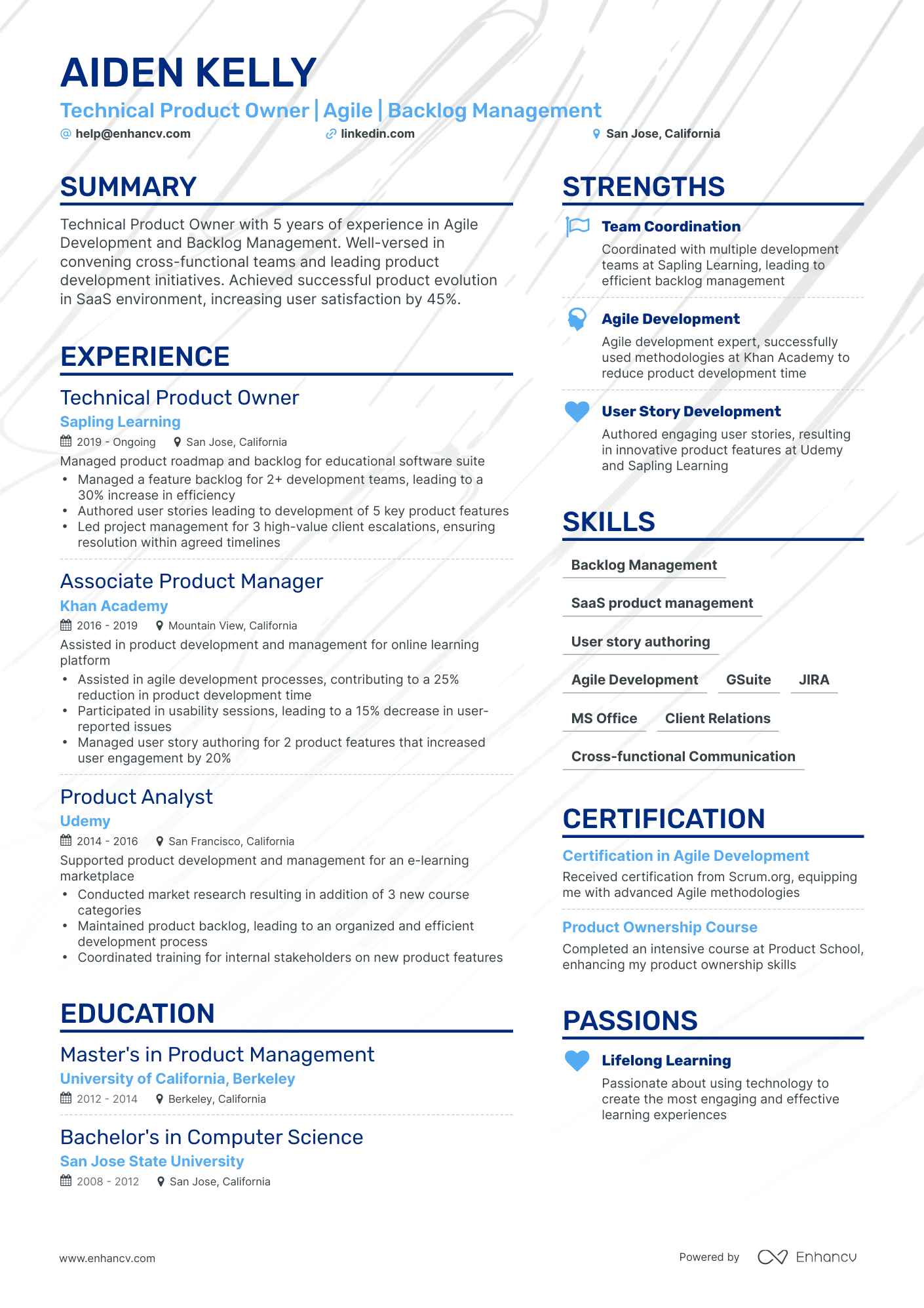 5 Technical Product Owner Resume Examples & Guide for 2024