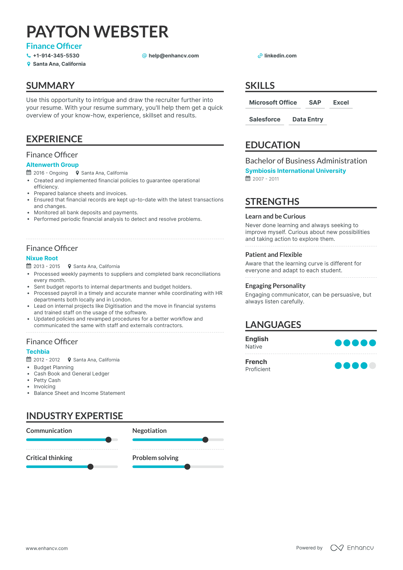 Finance Officer Resume Examples & Guide for 2023 (Layout, Skills ...