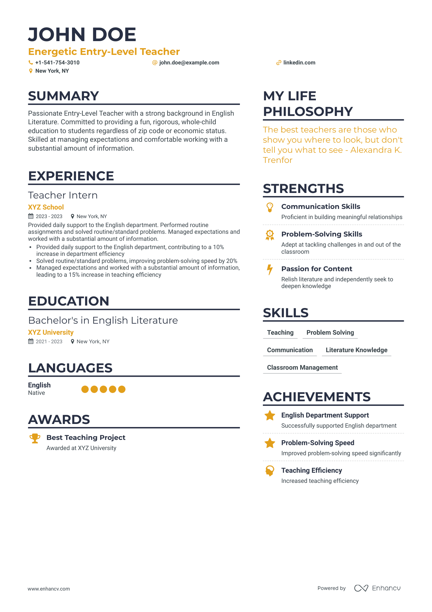 general beginner summary for resume