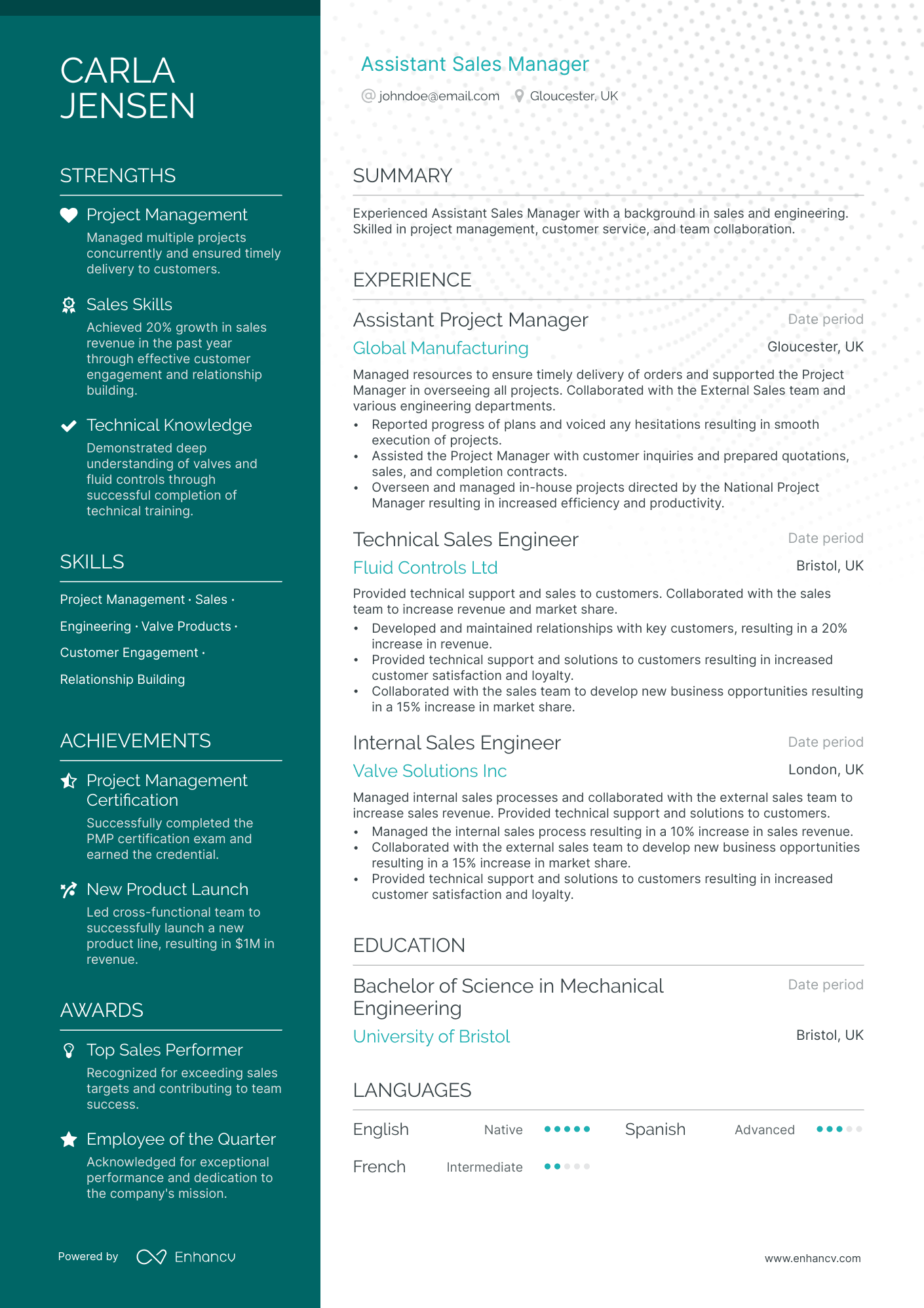 23 Sales Manager Resume Examples & Guide for 2024