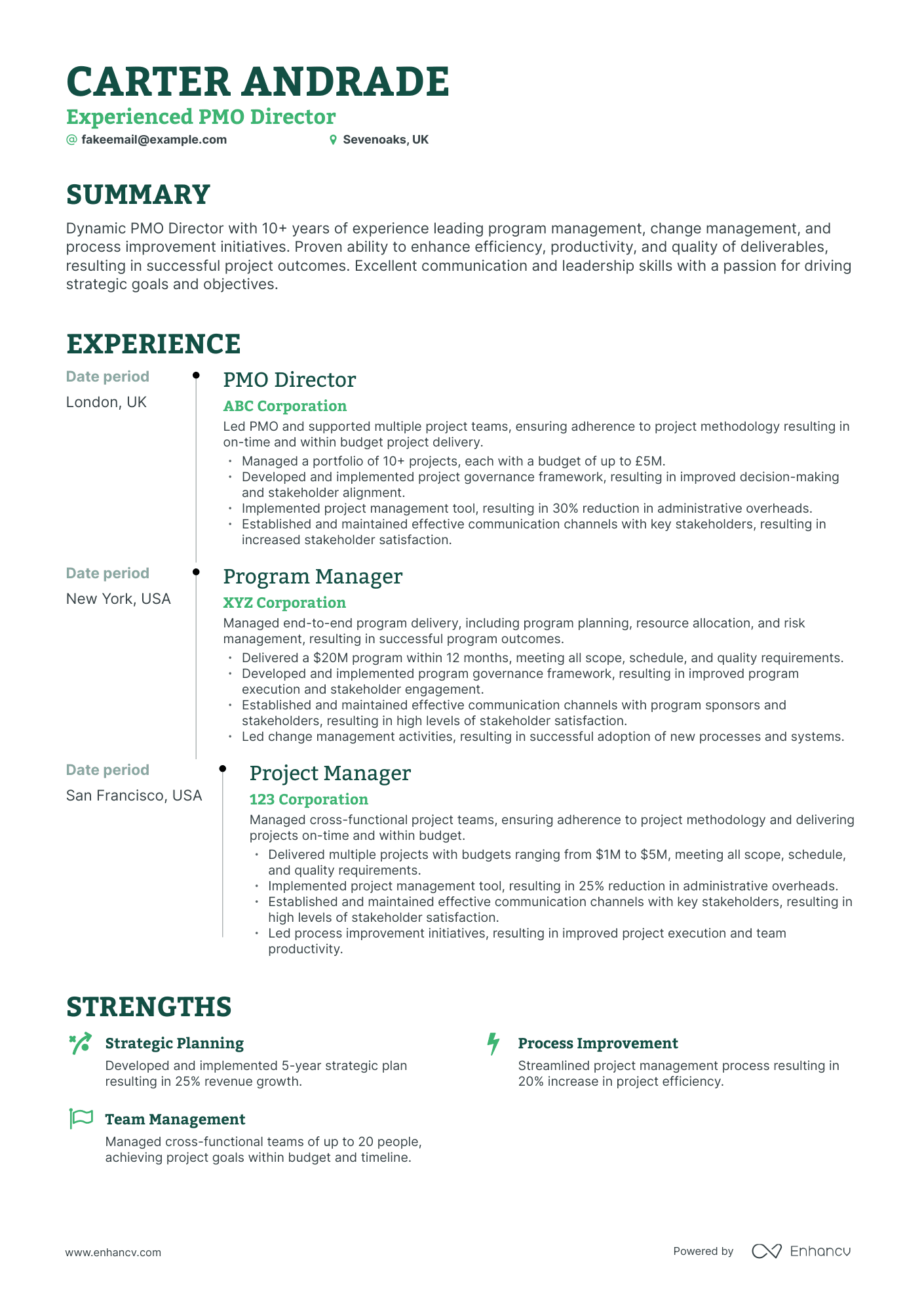 5 Pmo Director Resume Examples & Guide for 2023