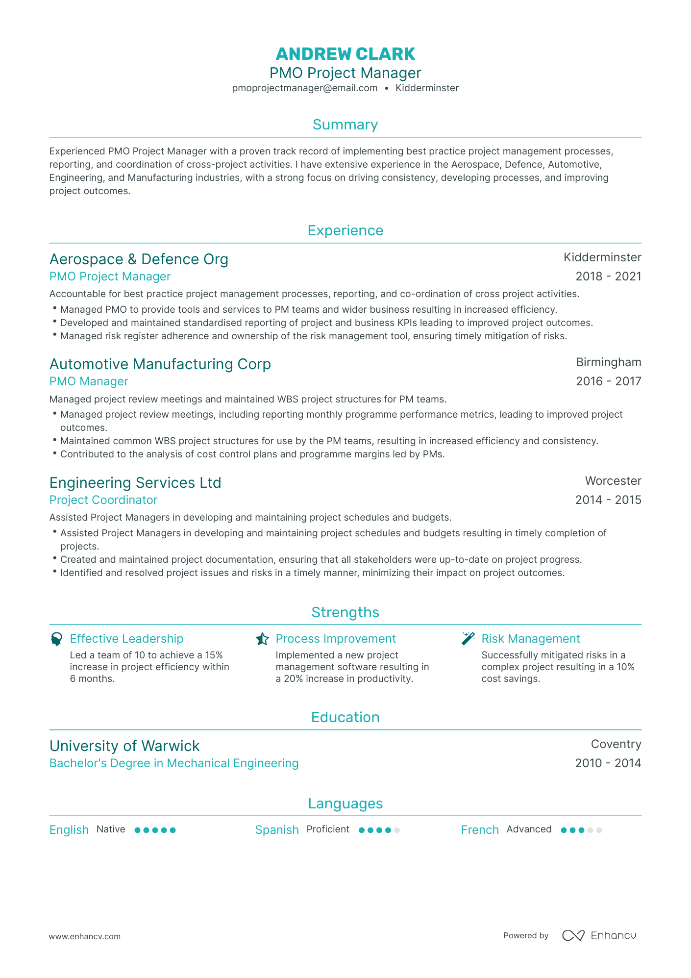 project manager pmo resume