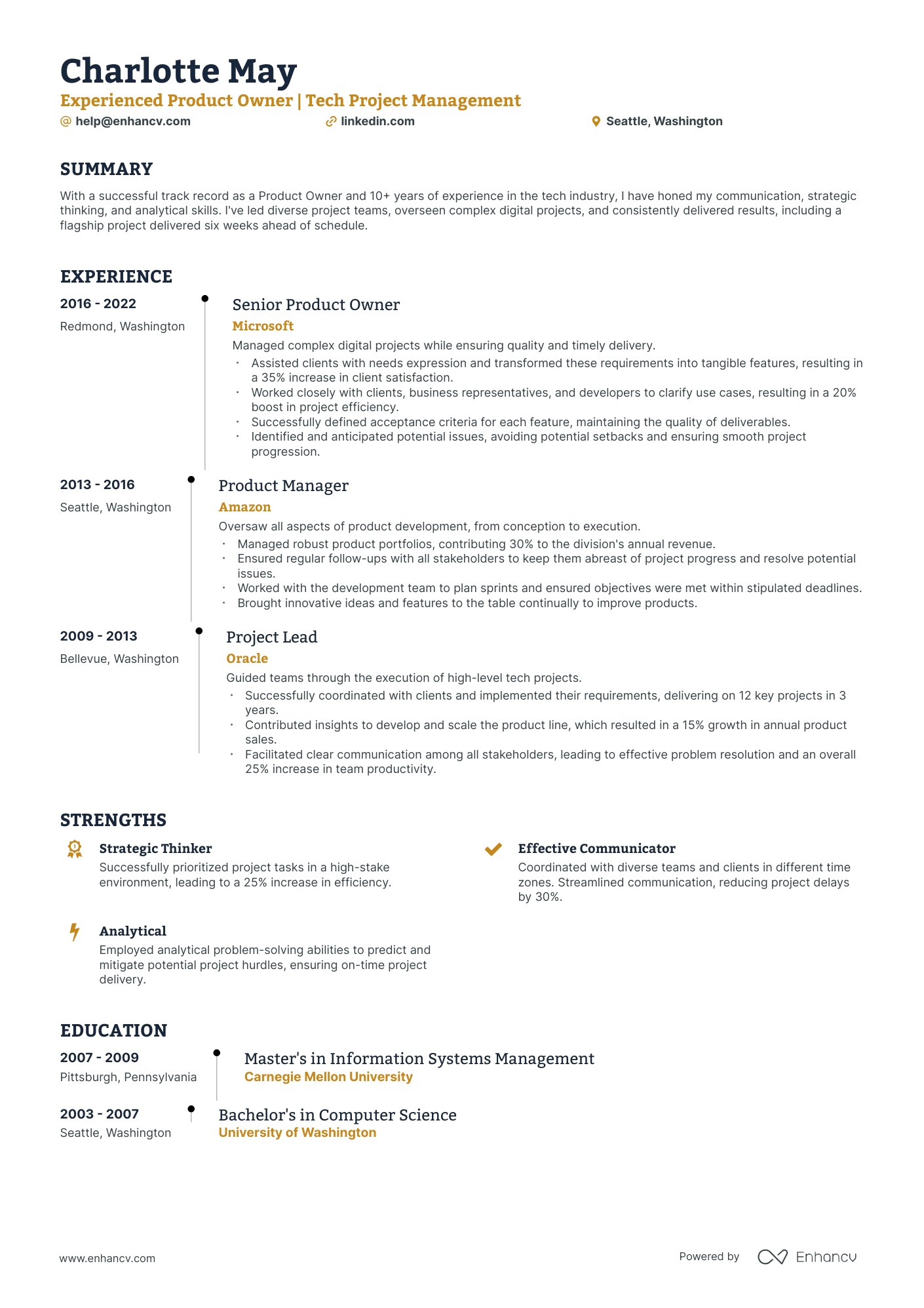 5 Product Owner Resume Examples & Guide for 2024