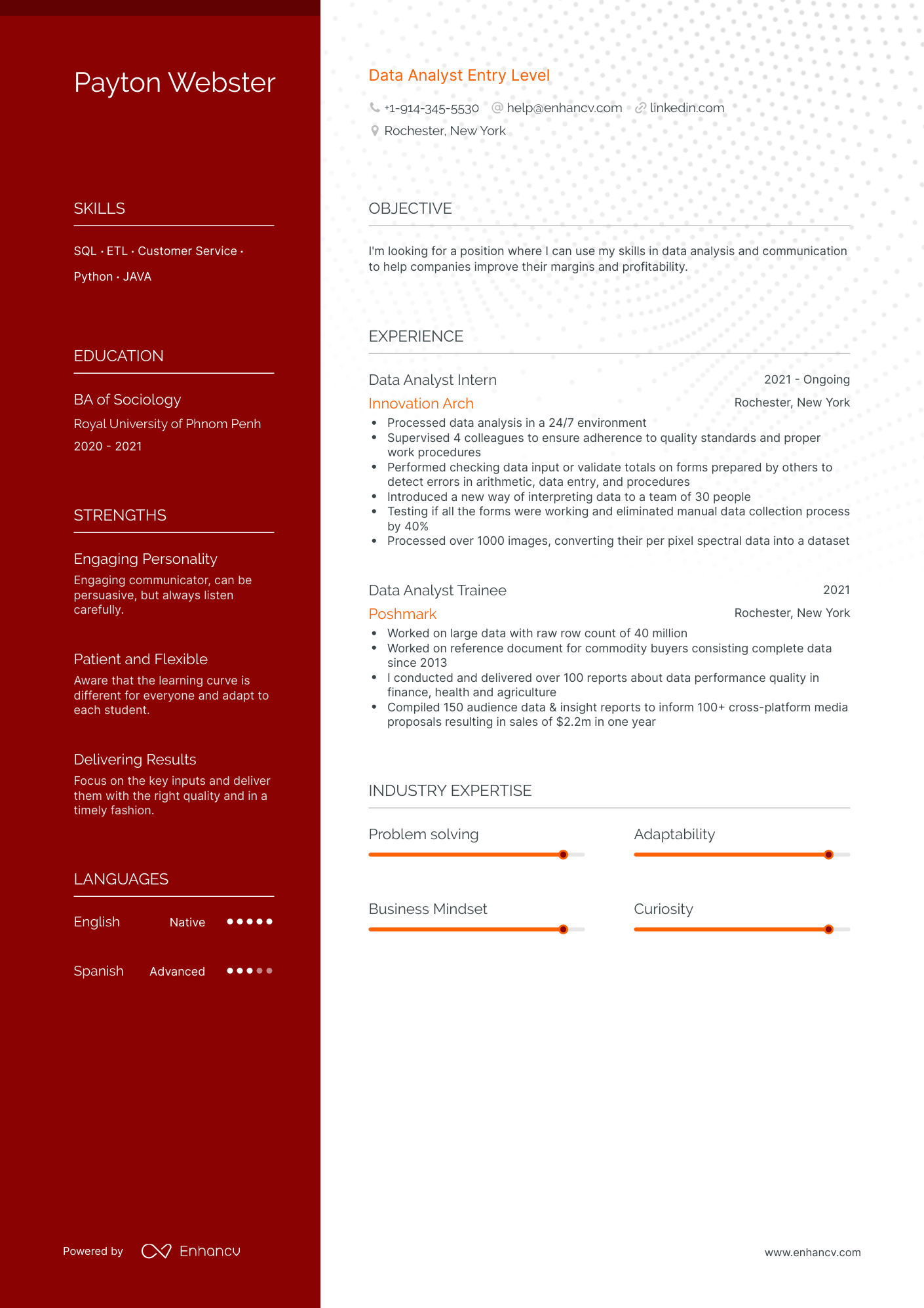 Polished Data Analyst Entry Level Resume Template