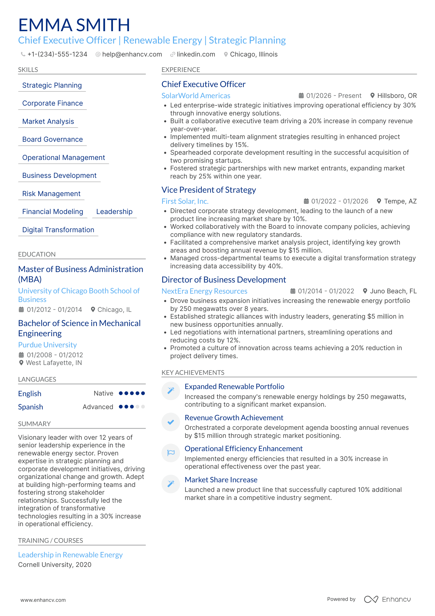 A resume example of a Chief Executive Officer