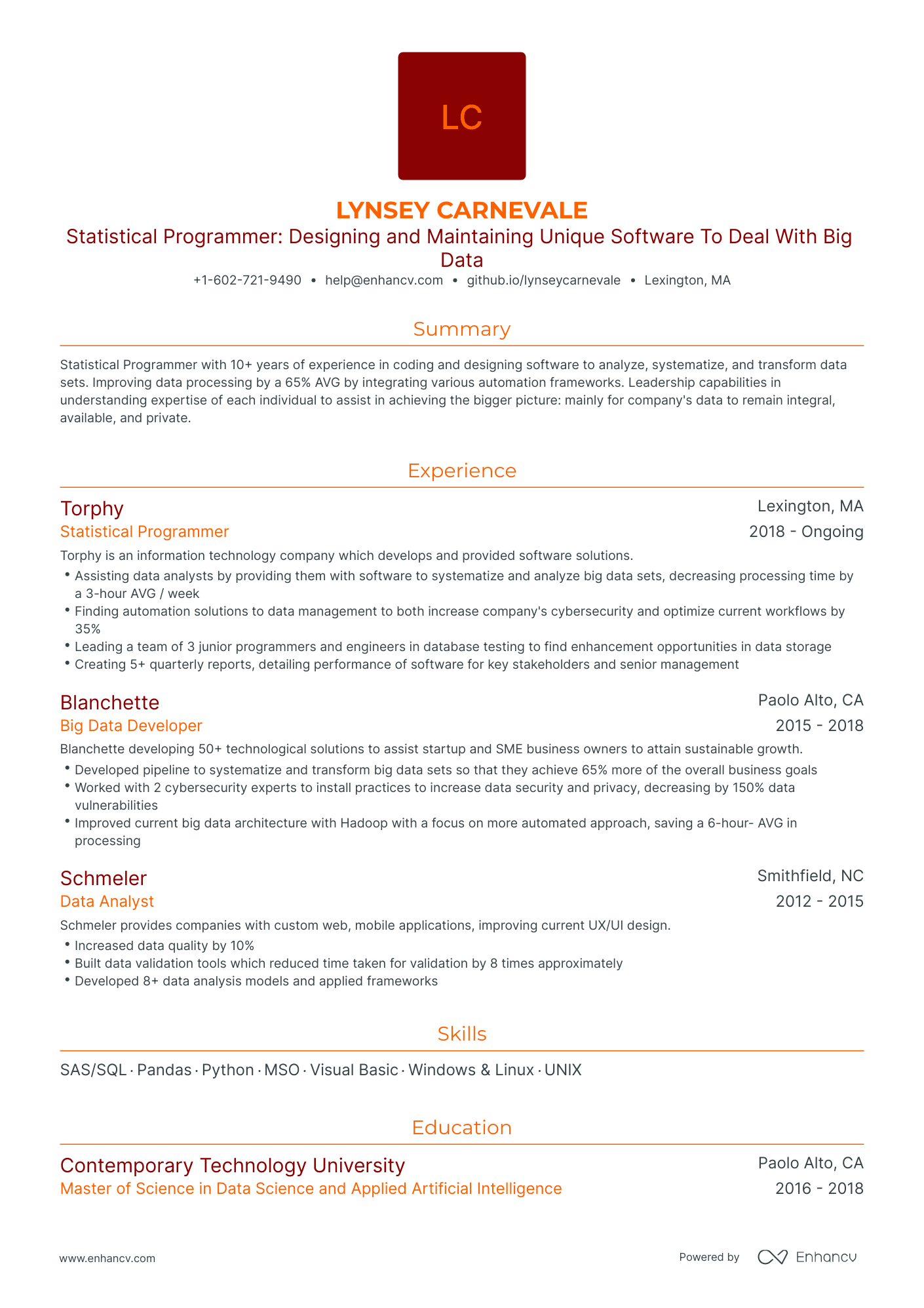 Traditional Statistical Programmer Resume Template