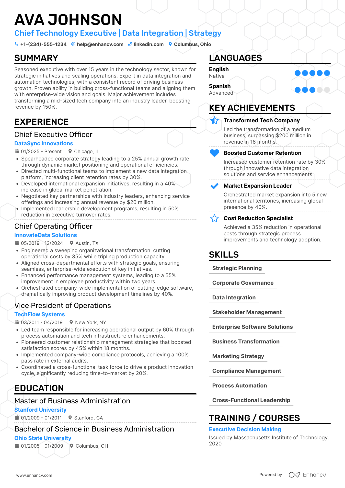 A resume example of a Chief Executive Officer (CEO)
