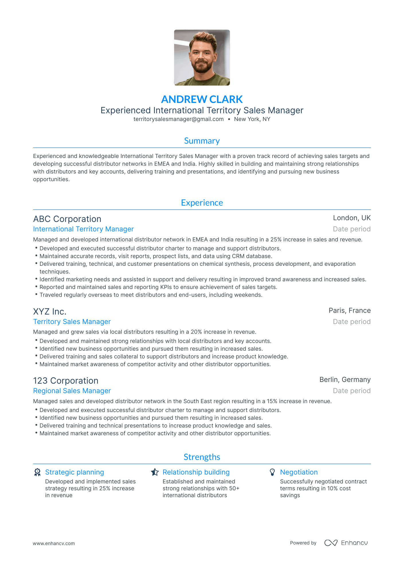 Traditional Territory Sales Manager Resume Template