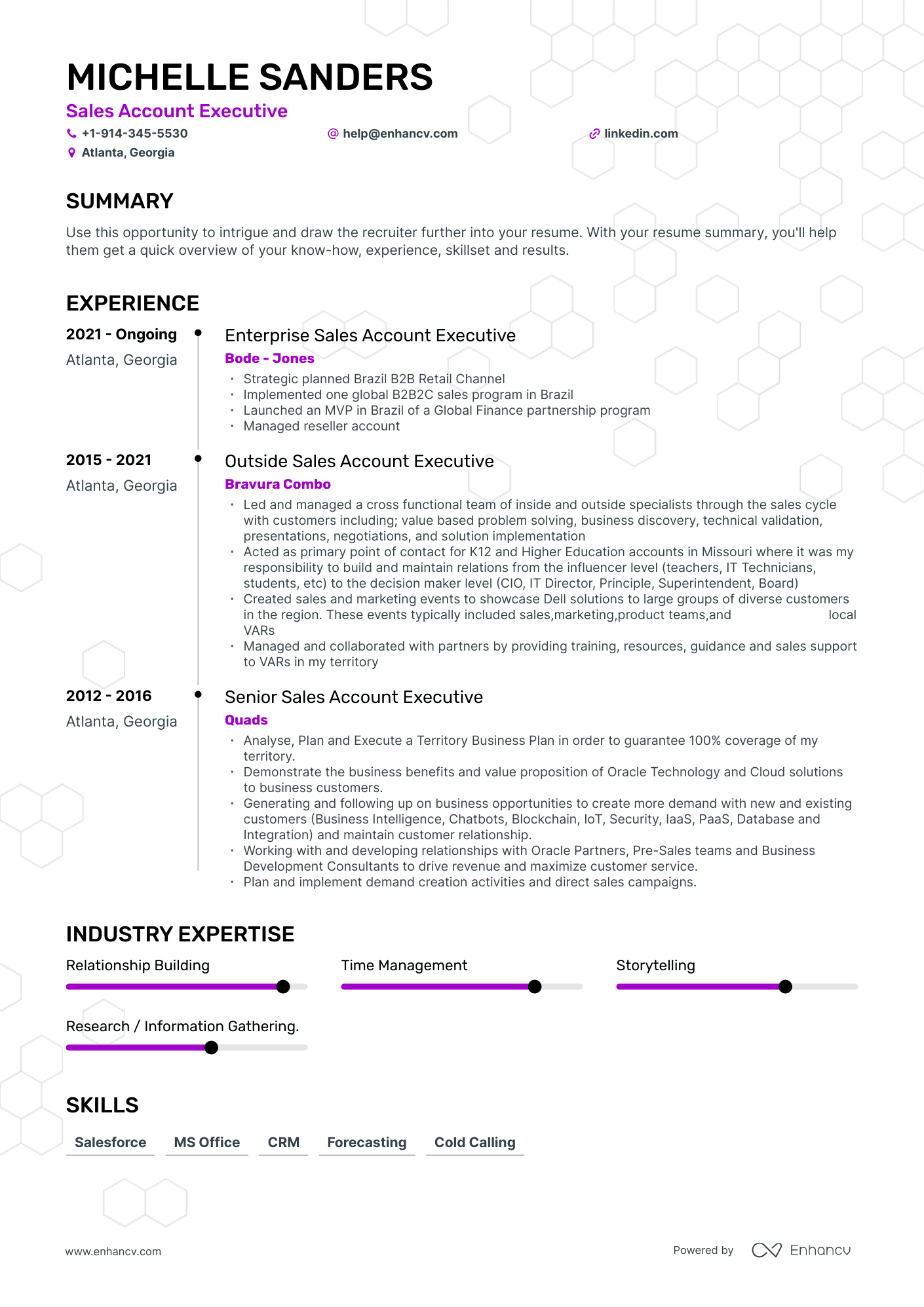 Sales Account Executive Resume Examples & Guide for 2023 (Layout ...