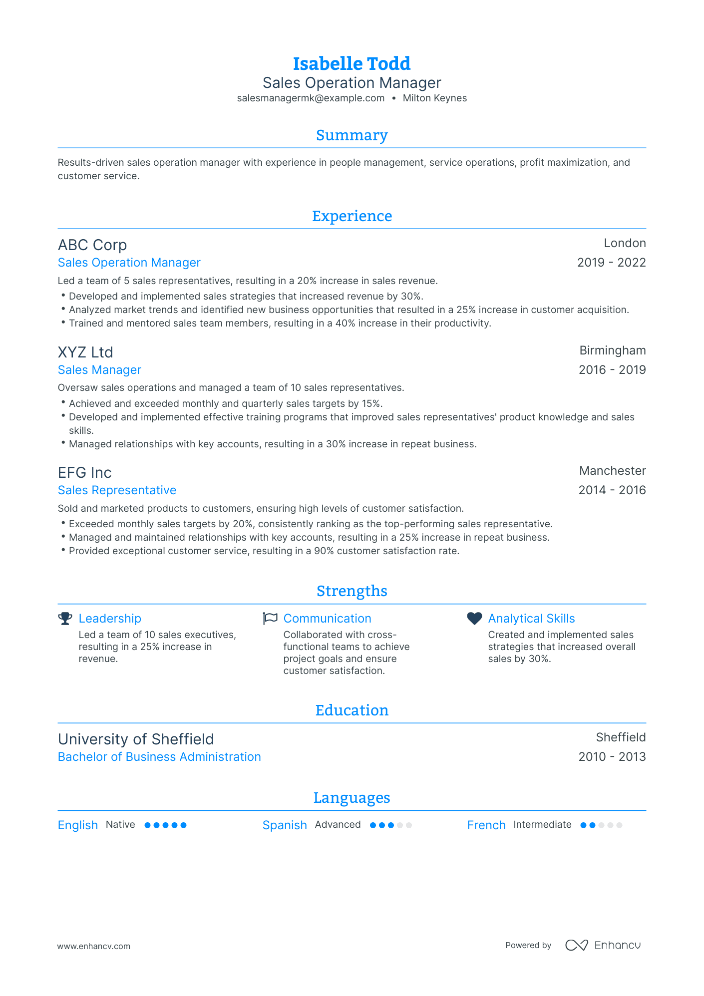 Traditional Sales Operation Manager Resume Template