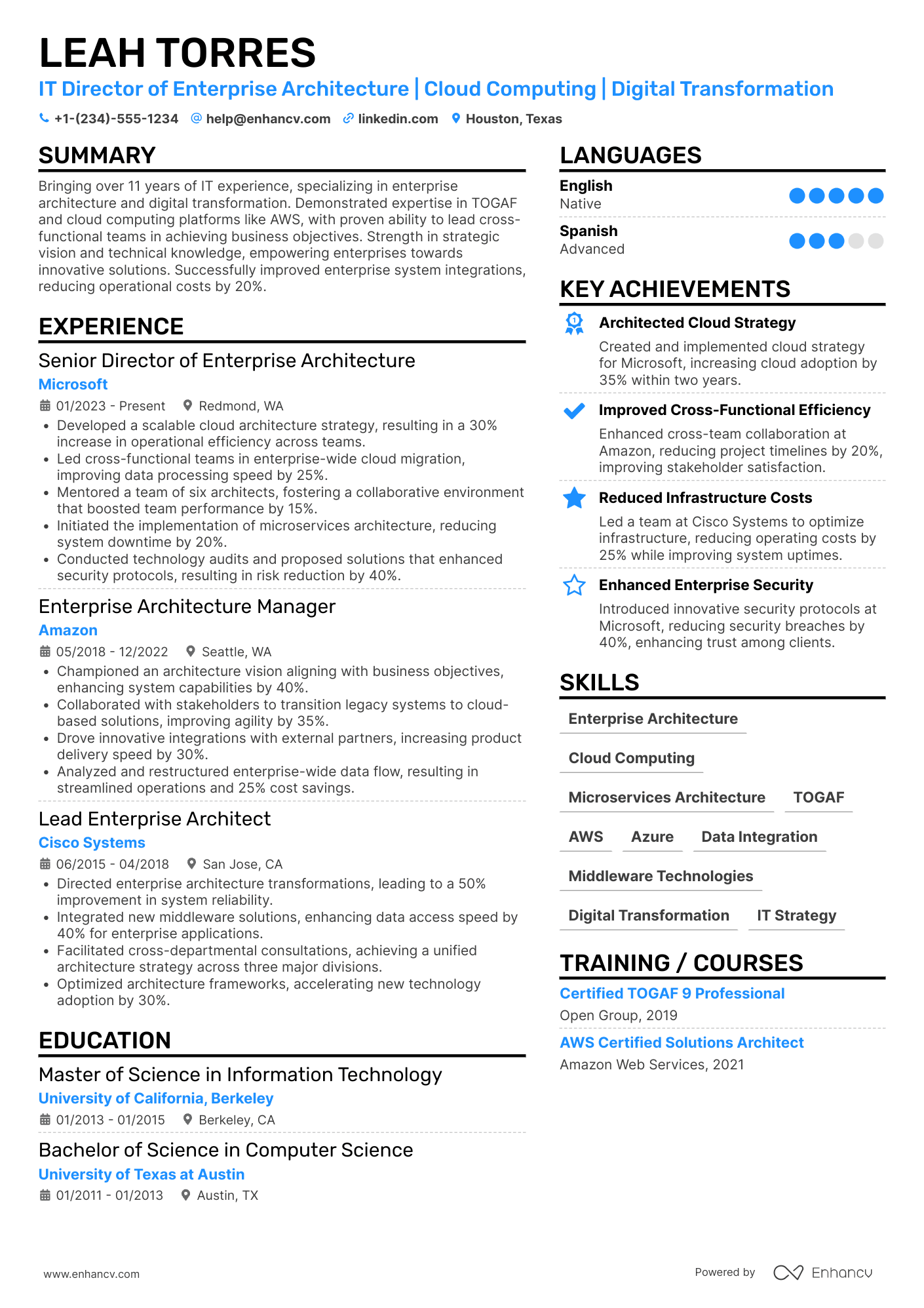 A resume example of a IT Director of Enterprise Architecture
