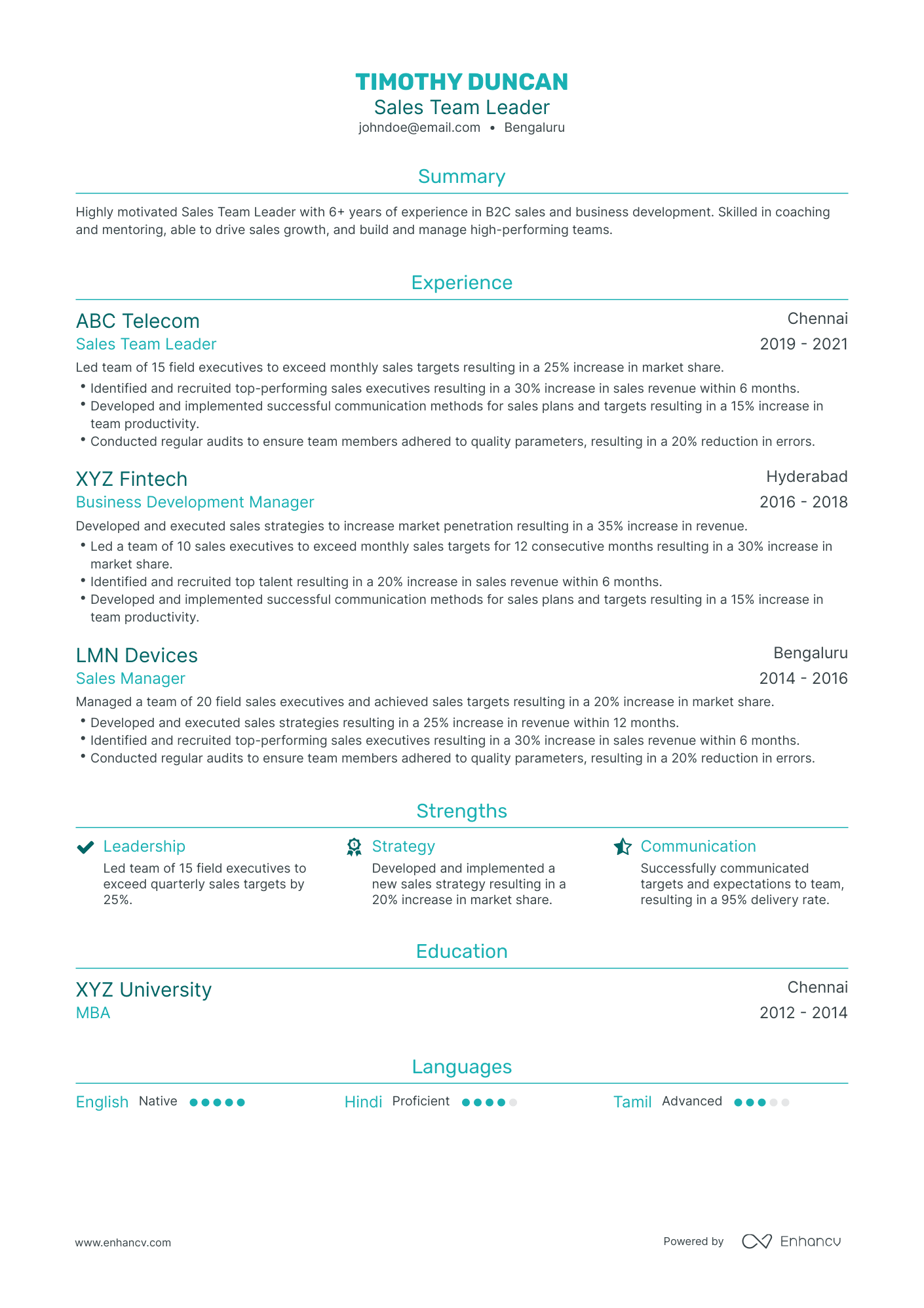 Traditional Sales Team Leader Resume Template