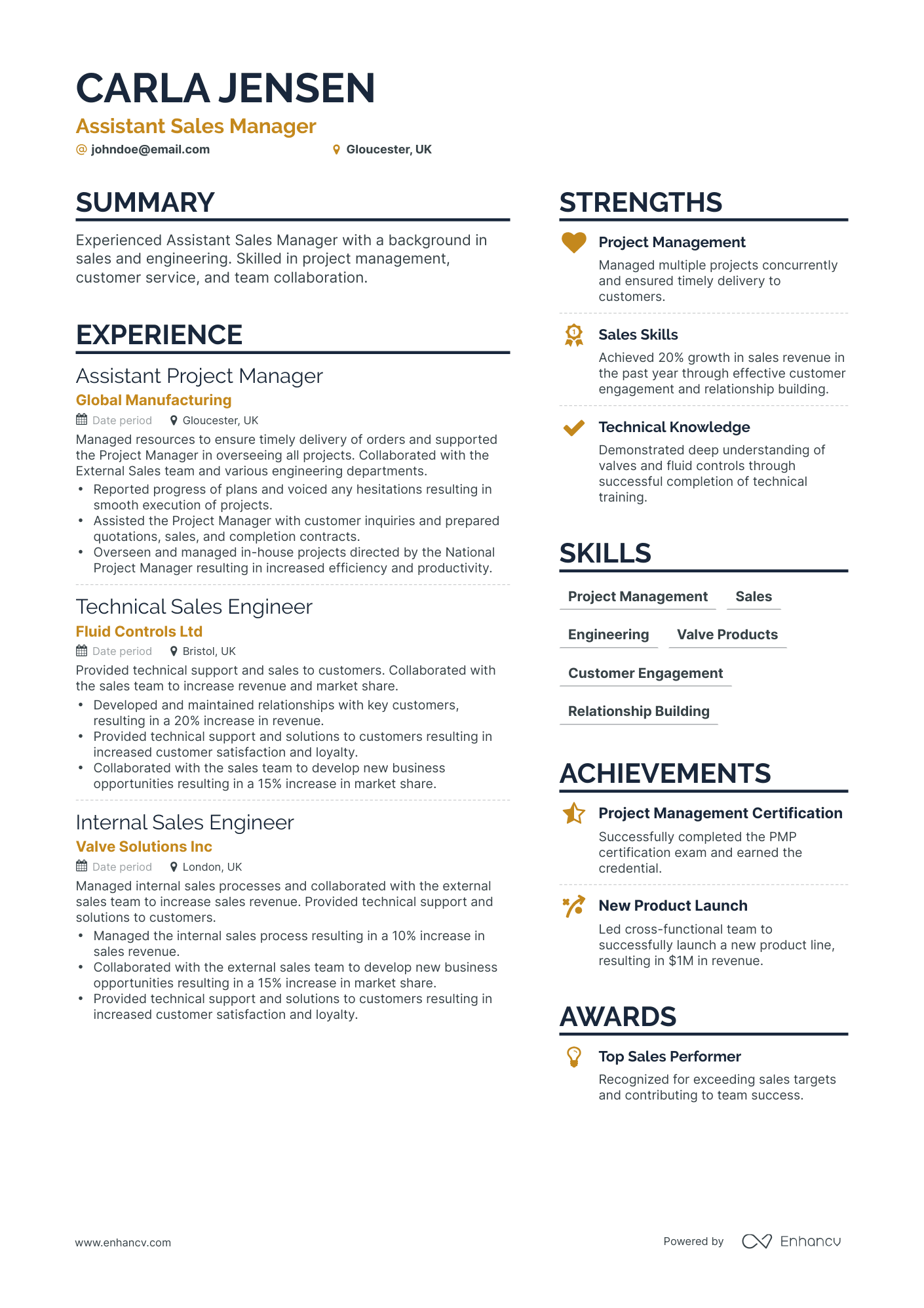 Simple Assistant Sales Manager Resume Template