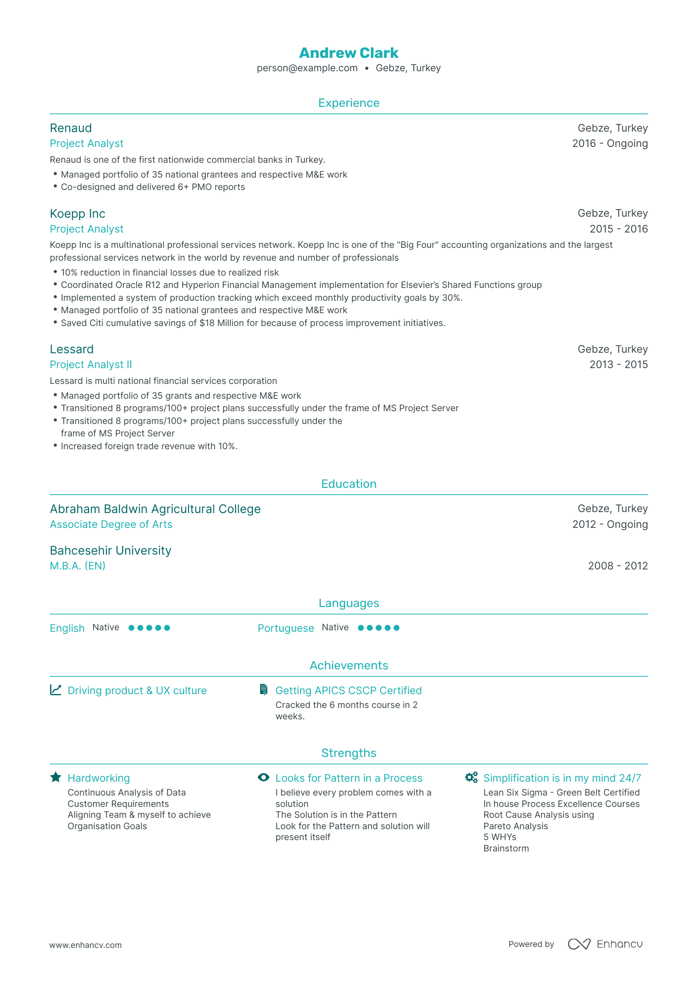 Traditional Project Analyst Resume Template