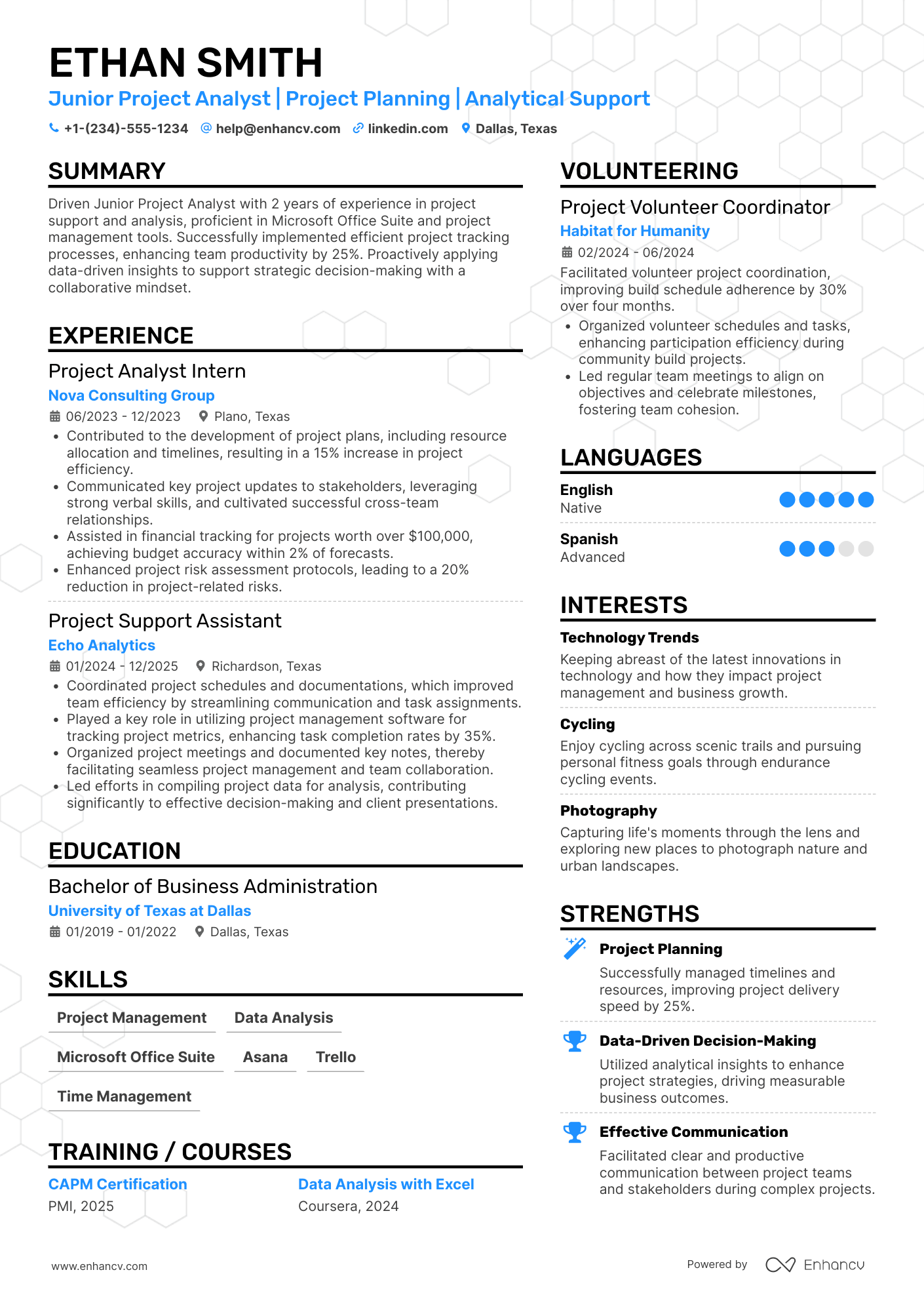A resume example of a Junior Project Analyst