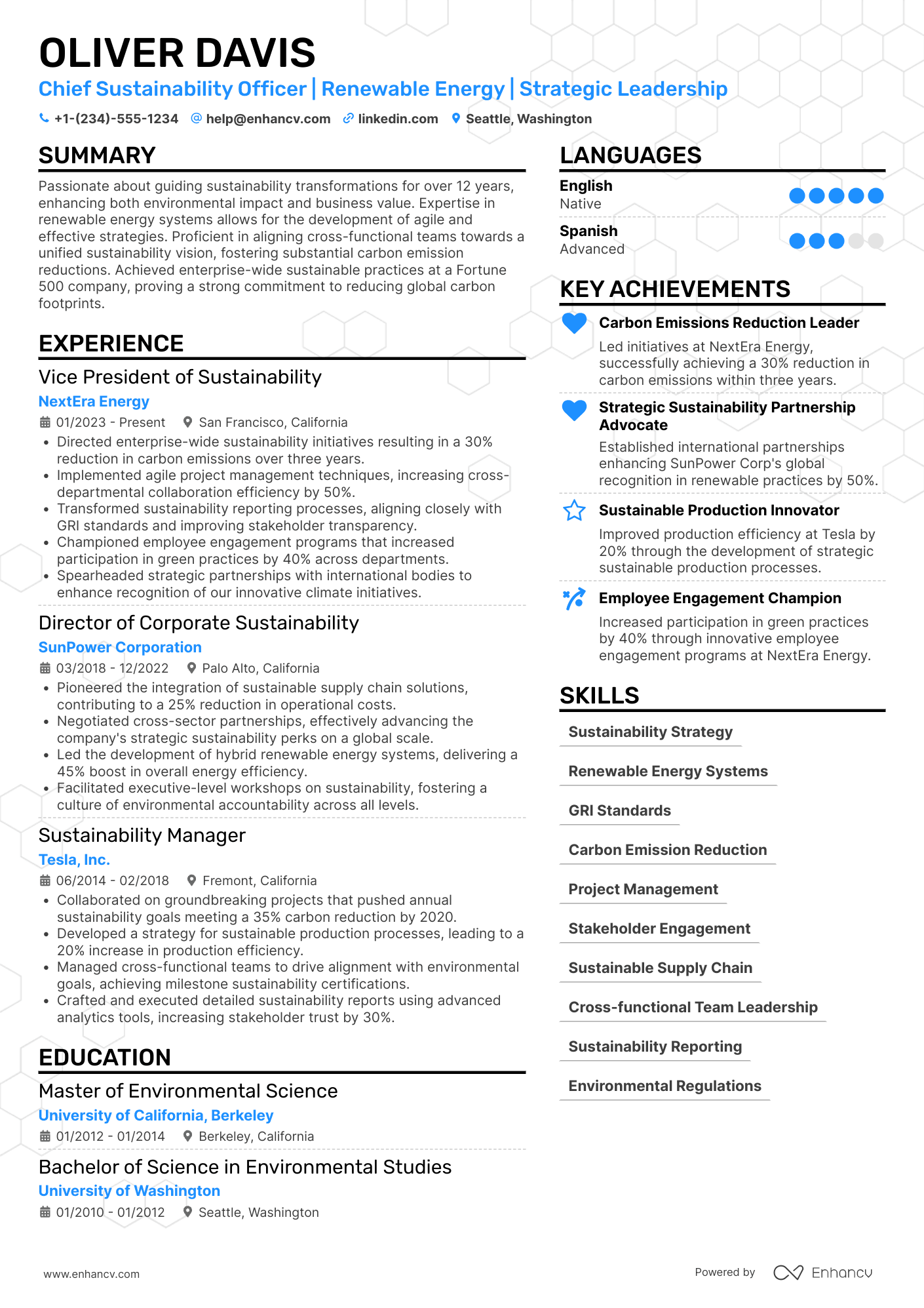 A resume example of a Chief Sustainability Strategy Officer