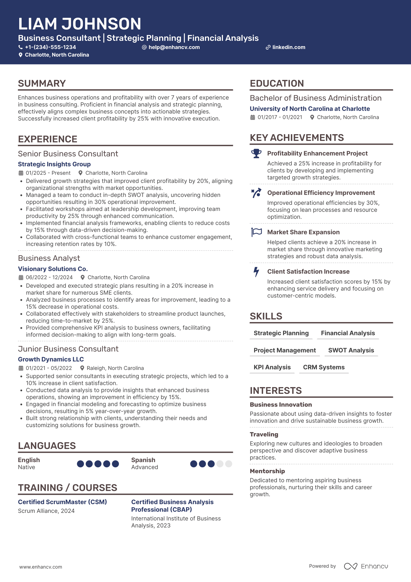 A resume example of a Business Owner Consultant