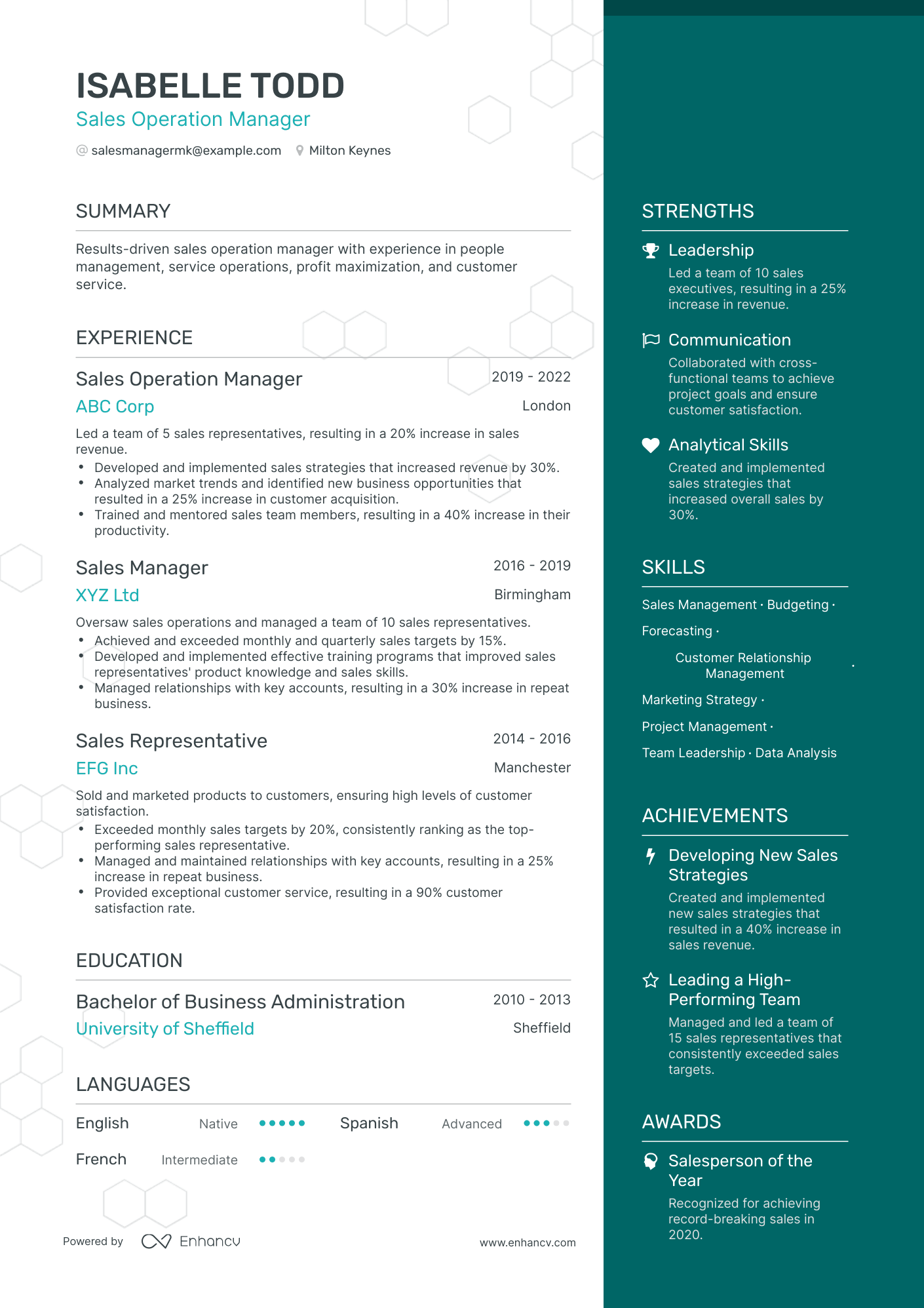 One Page Sales Operation Manager Resume Template