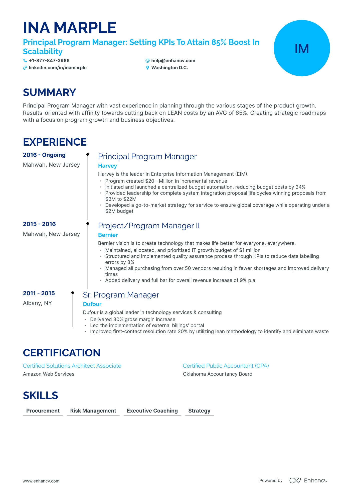 Timeline Principal Program Manager Resume Template