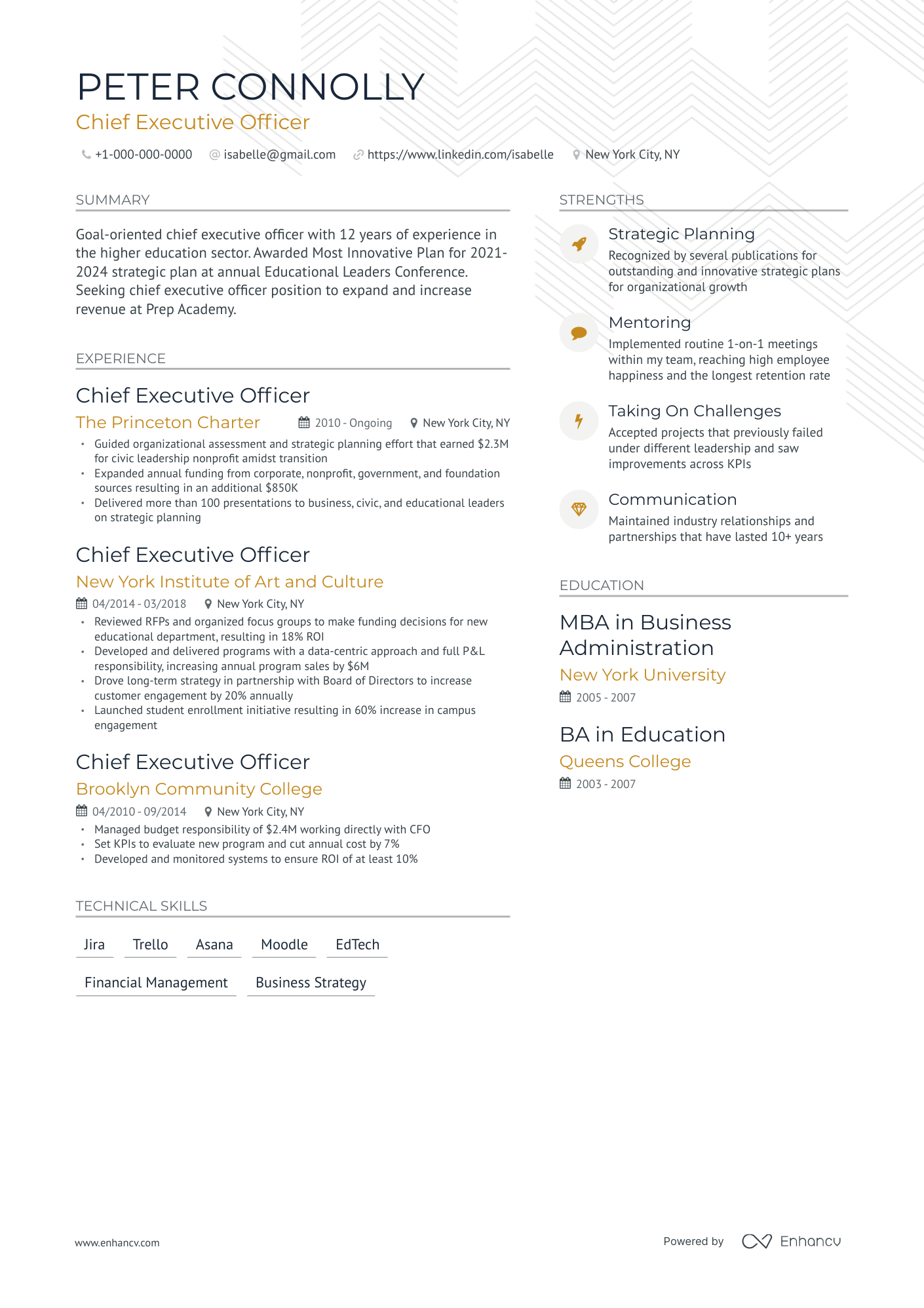 Modern Chief Executive Officer Resume Template