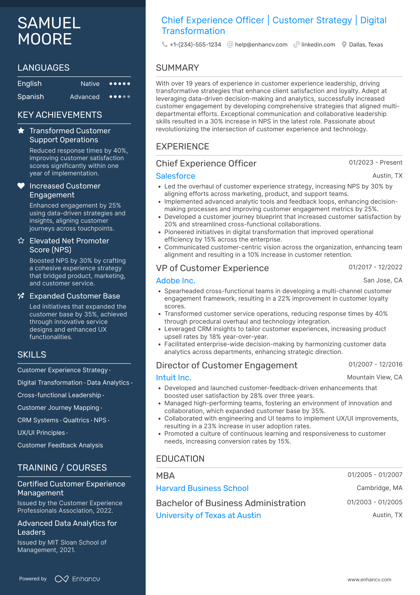 A resume example of a Chief Experience Officer