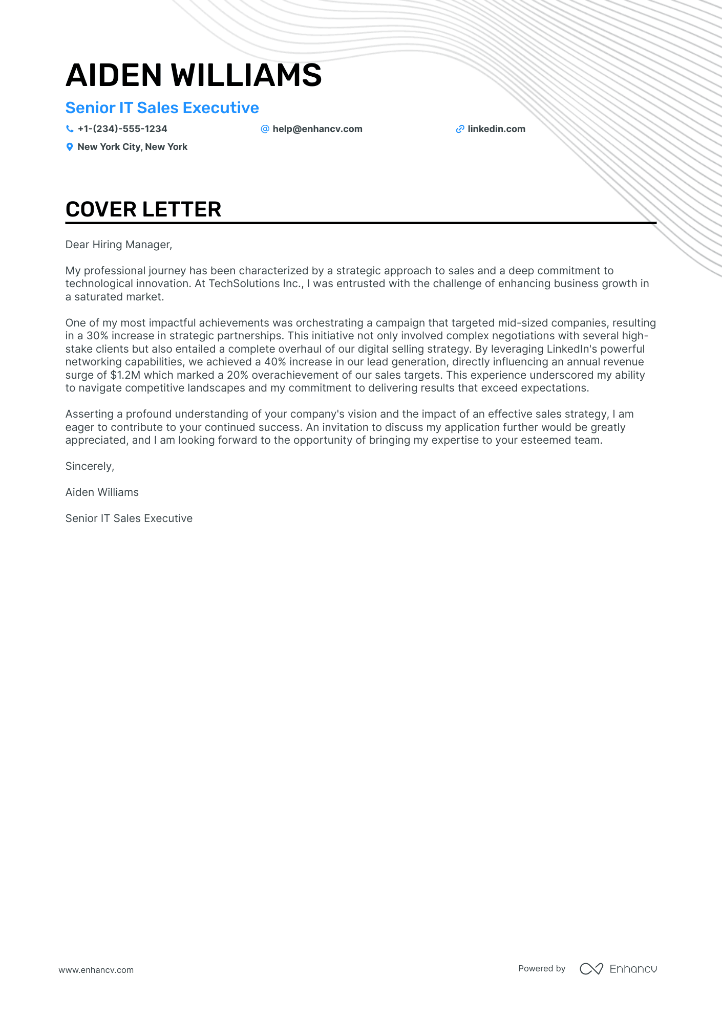 application letter for sales executive