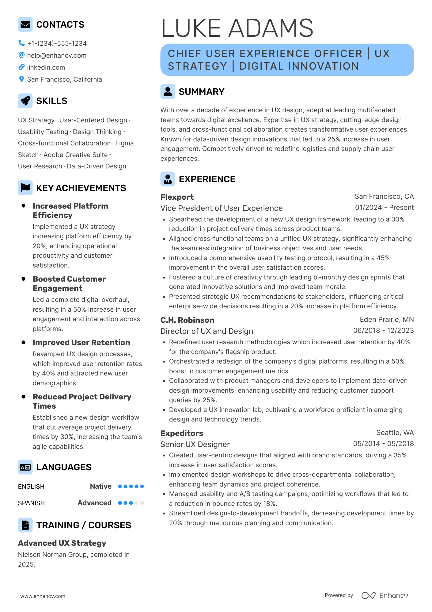 A resume example of a Chief User Experience Officer