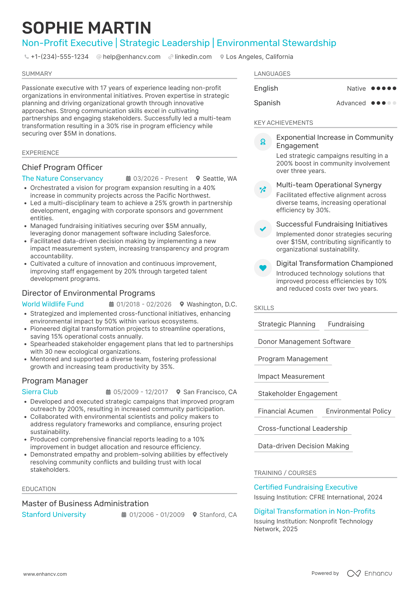 A resume example of a Non Profit CEO