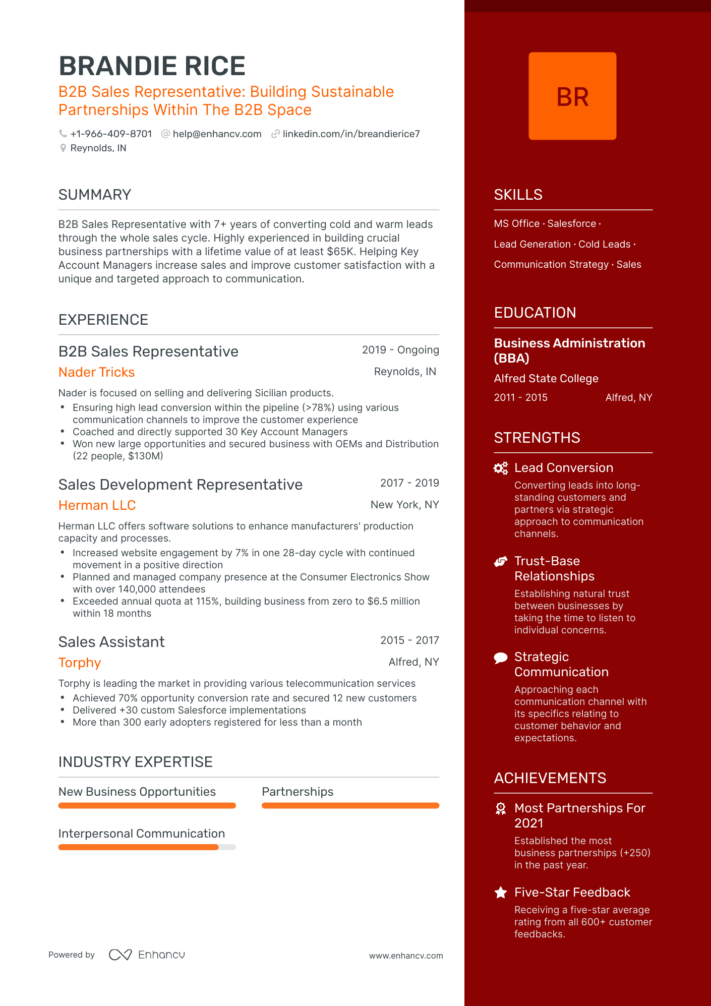 One Page B2B Sales Resume Template