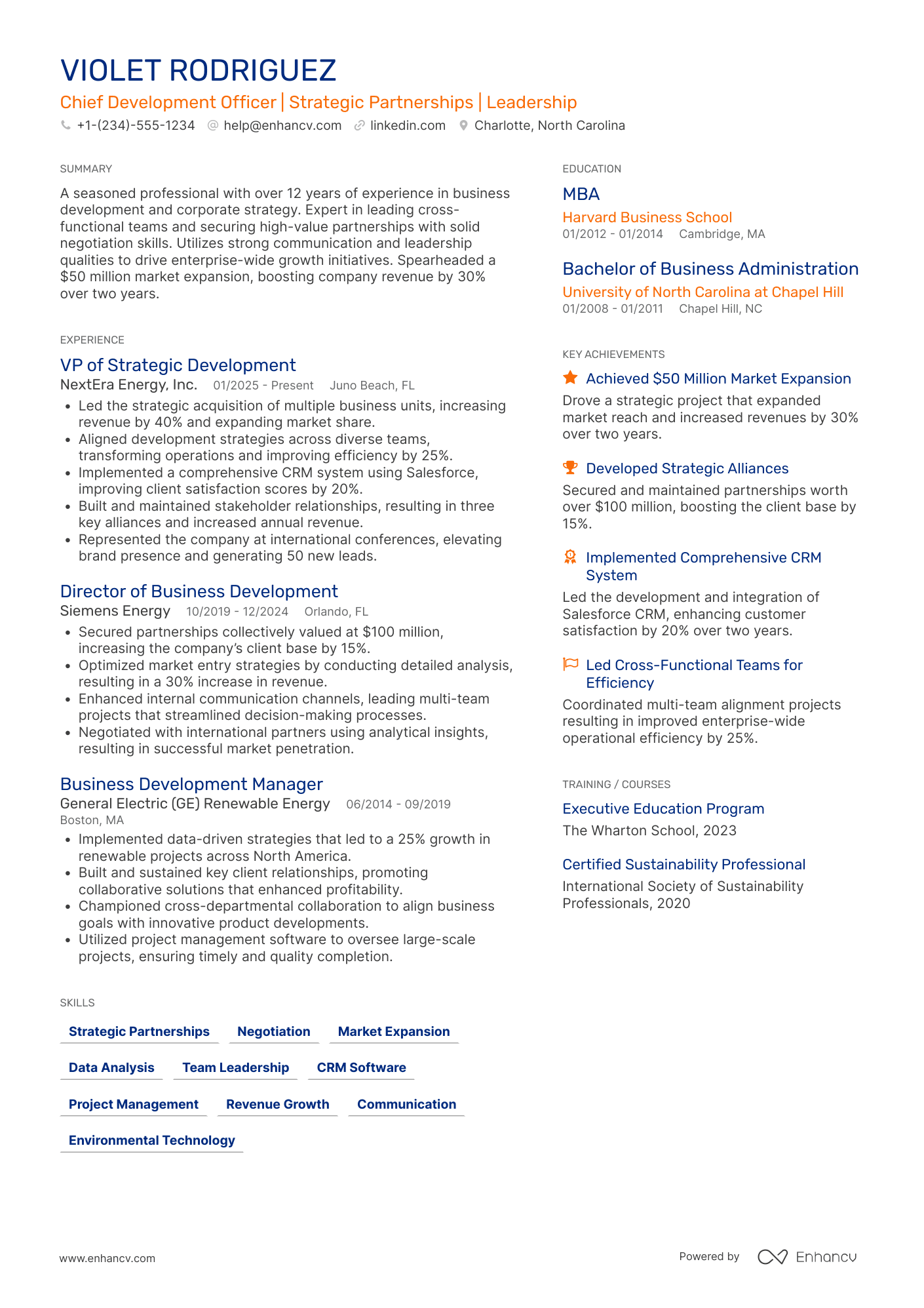 A resume example of a Chief Development Officer