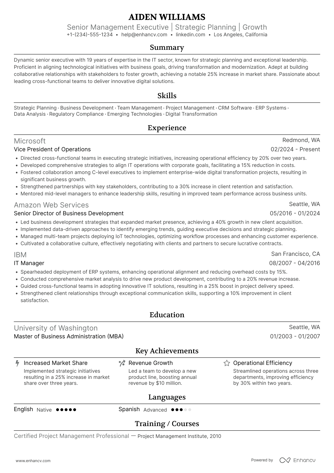 A resume example of a Vice President
